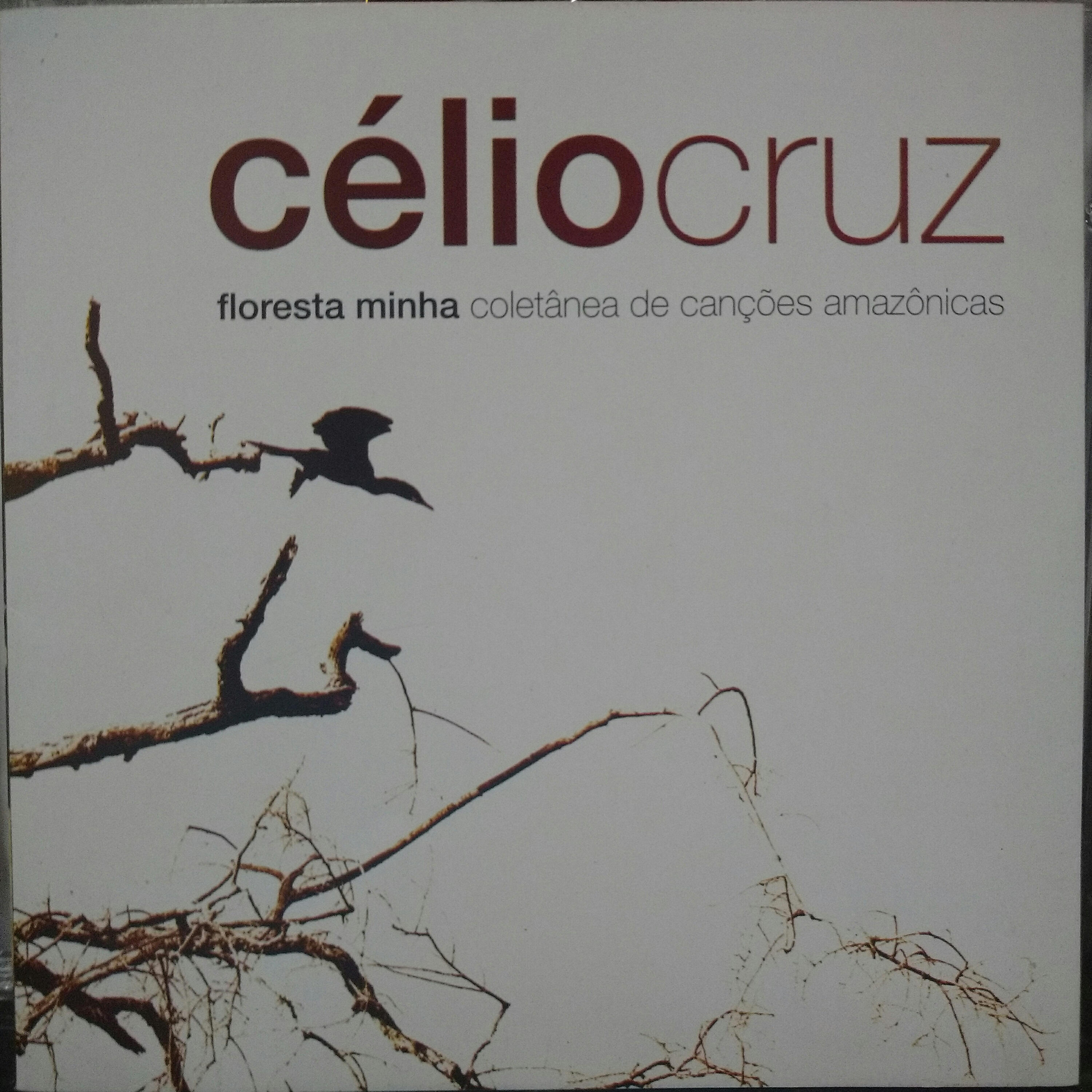 Célio Cruz - Mantra