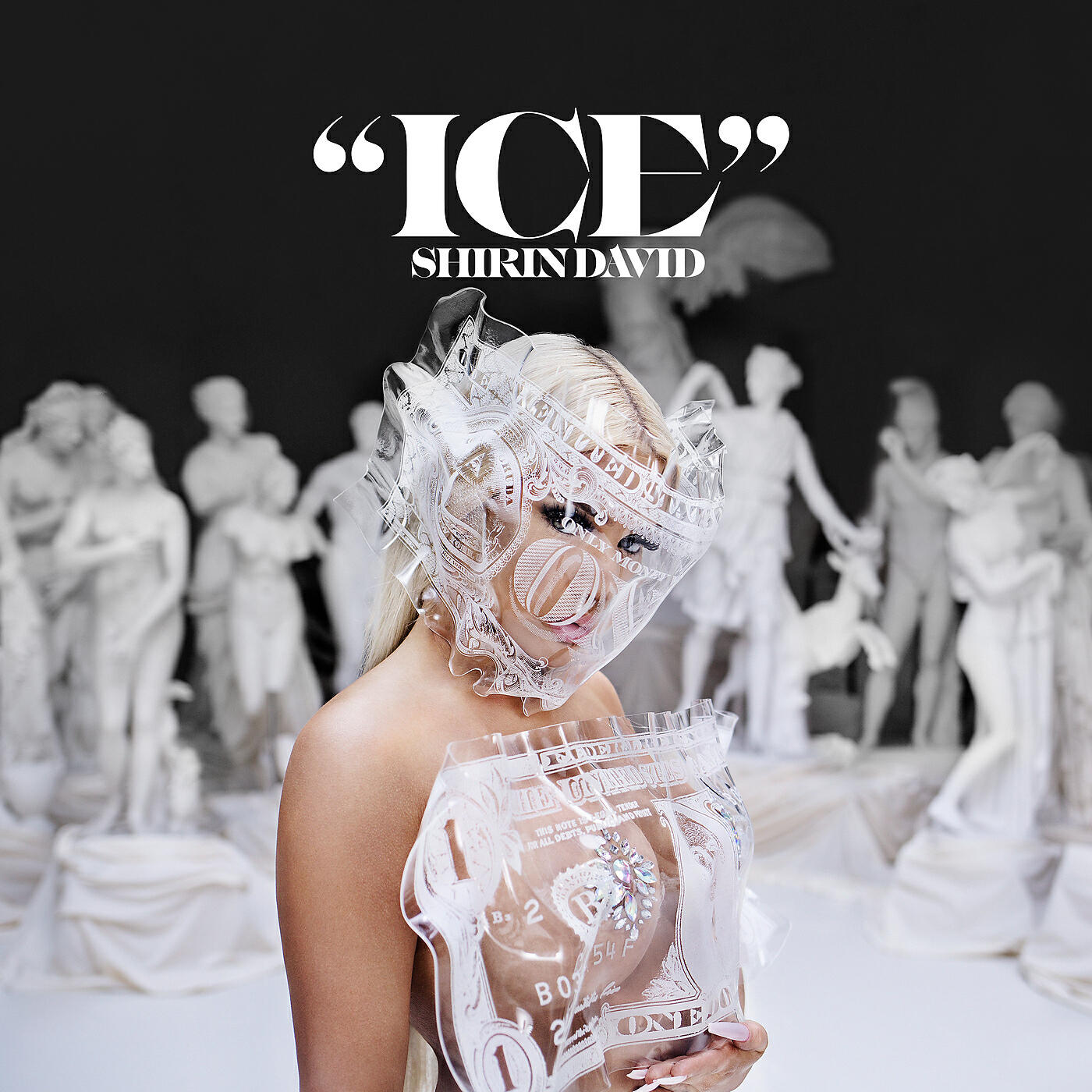 SHIRIN DAVID - ICE