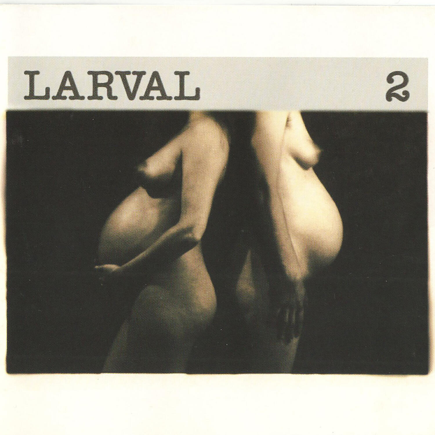Larval - Endless Plan of the Future