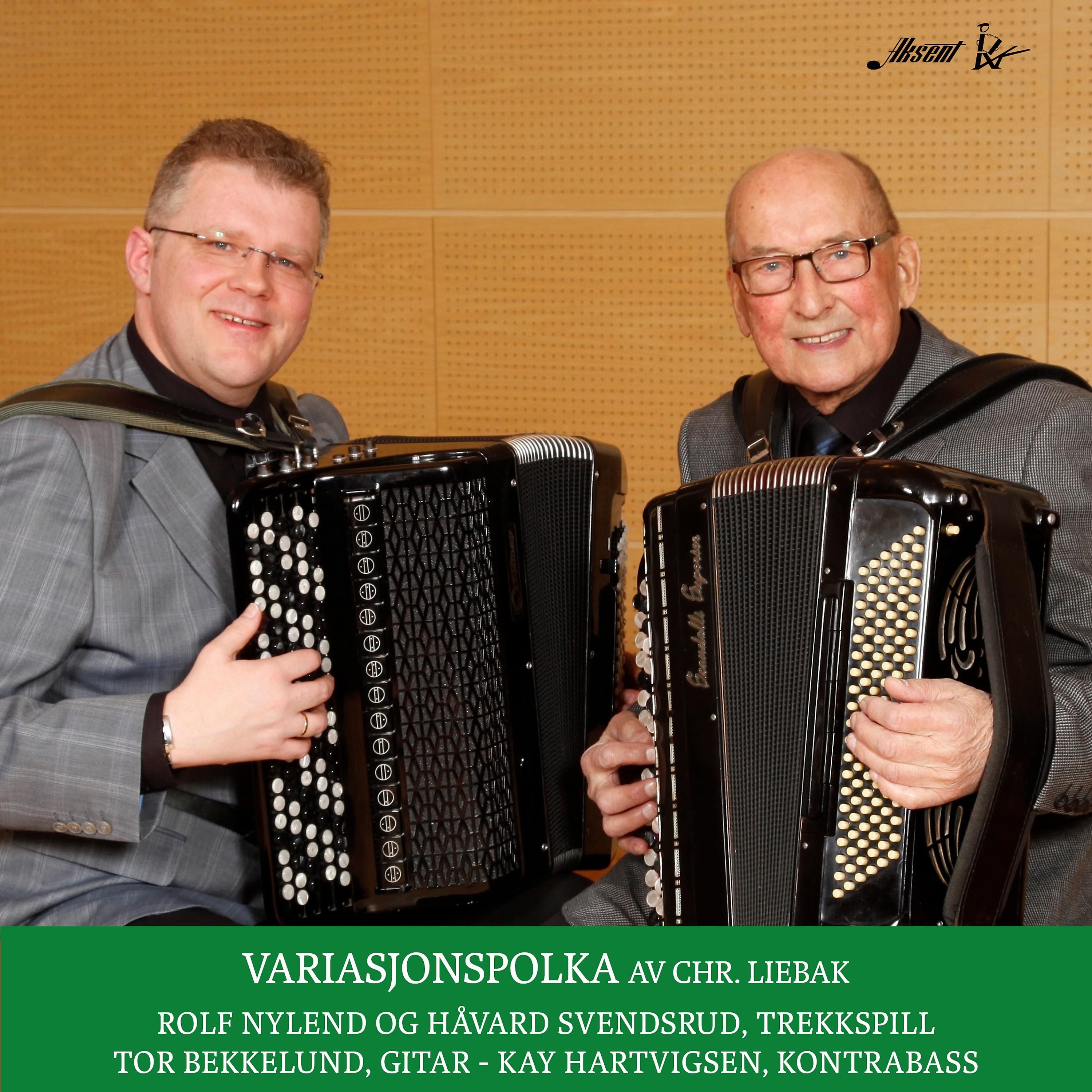 Постер альбома Variasjonspolka Av Chr. Liebak
