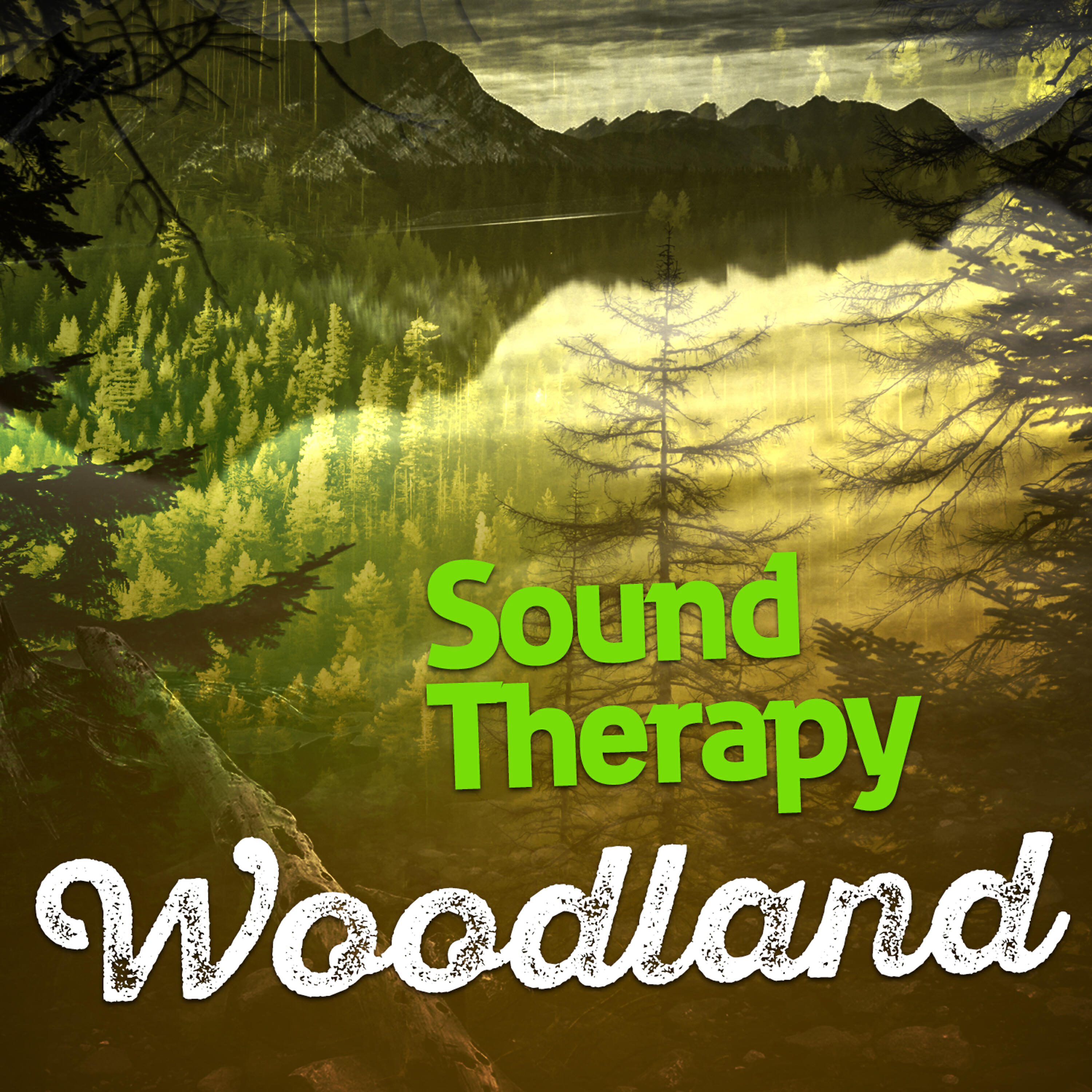 Nature Sounds Therapy - Natural Life