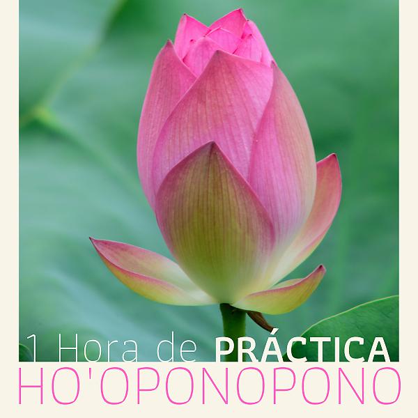 Постер альбома 1 Hora de Práctica Ho'oponopono - Meditación del Perdón y Sanación