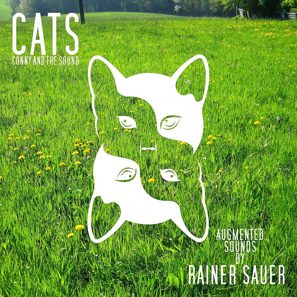 Rainer Sauer - Taktik (Remix by Sandro Herzbluth)