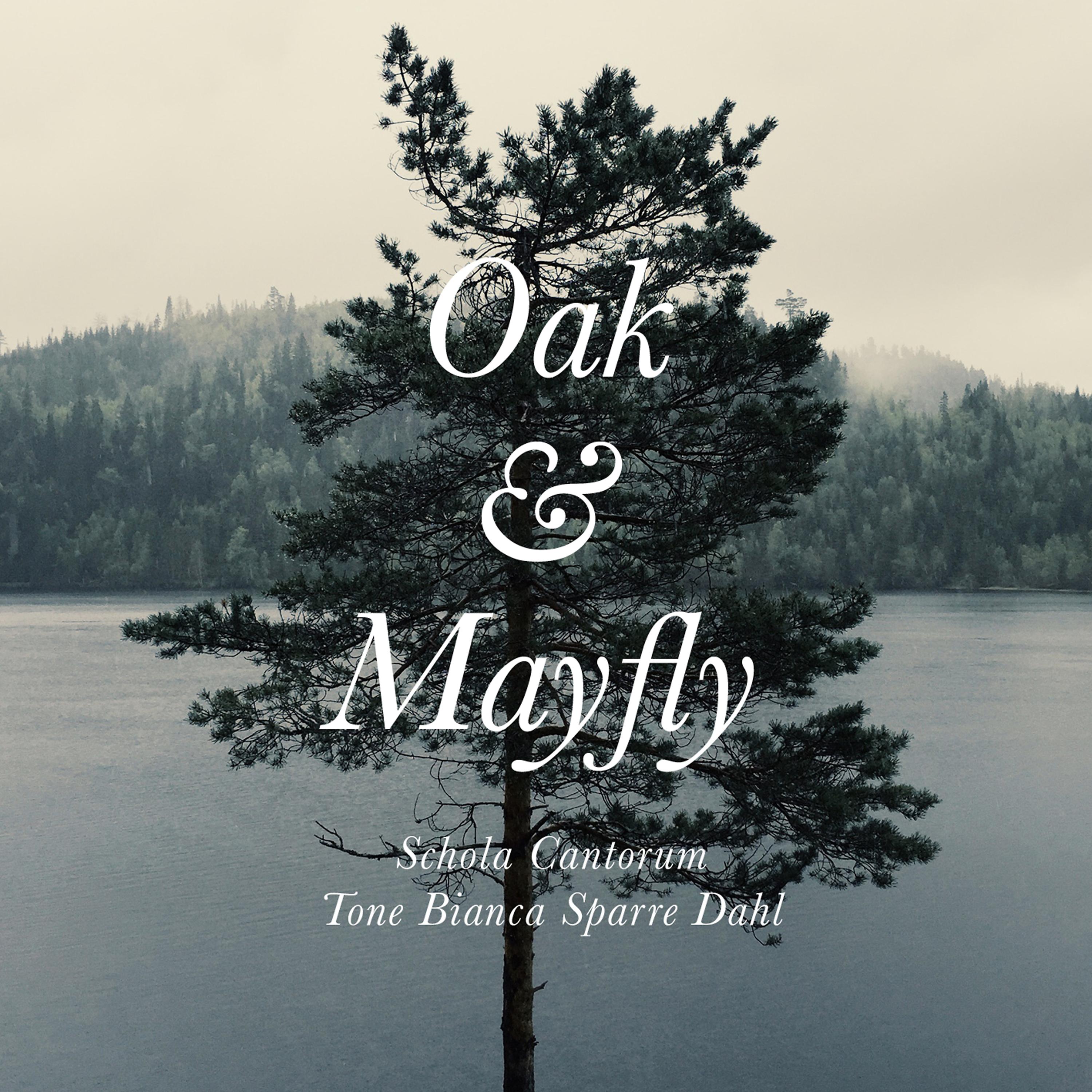 Постер альбома Bjørn Morten Christophersen: Oak & Mayfly