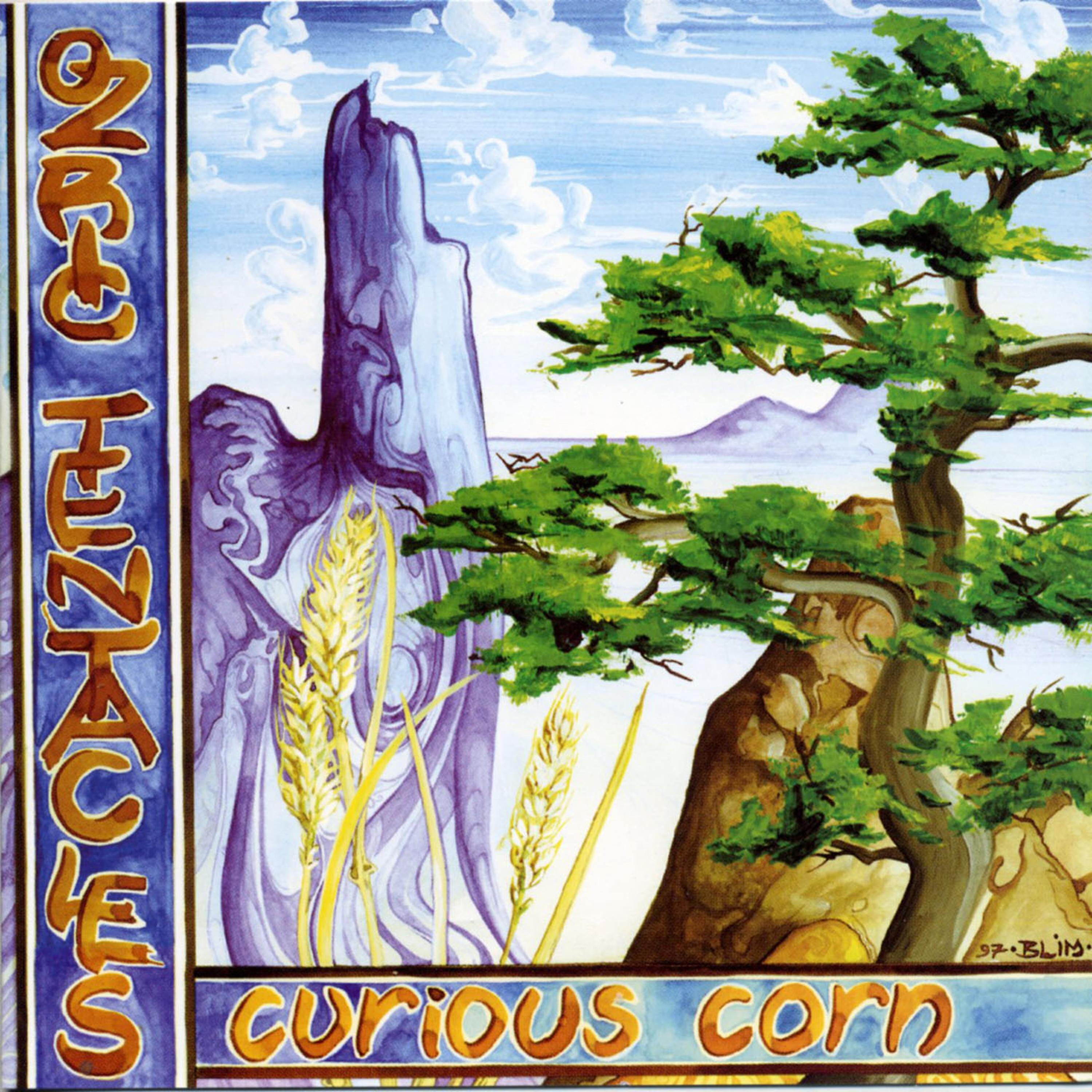 Ozric Tentacles - Oolite Grove