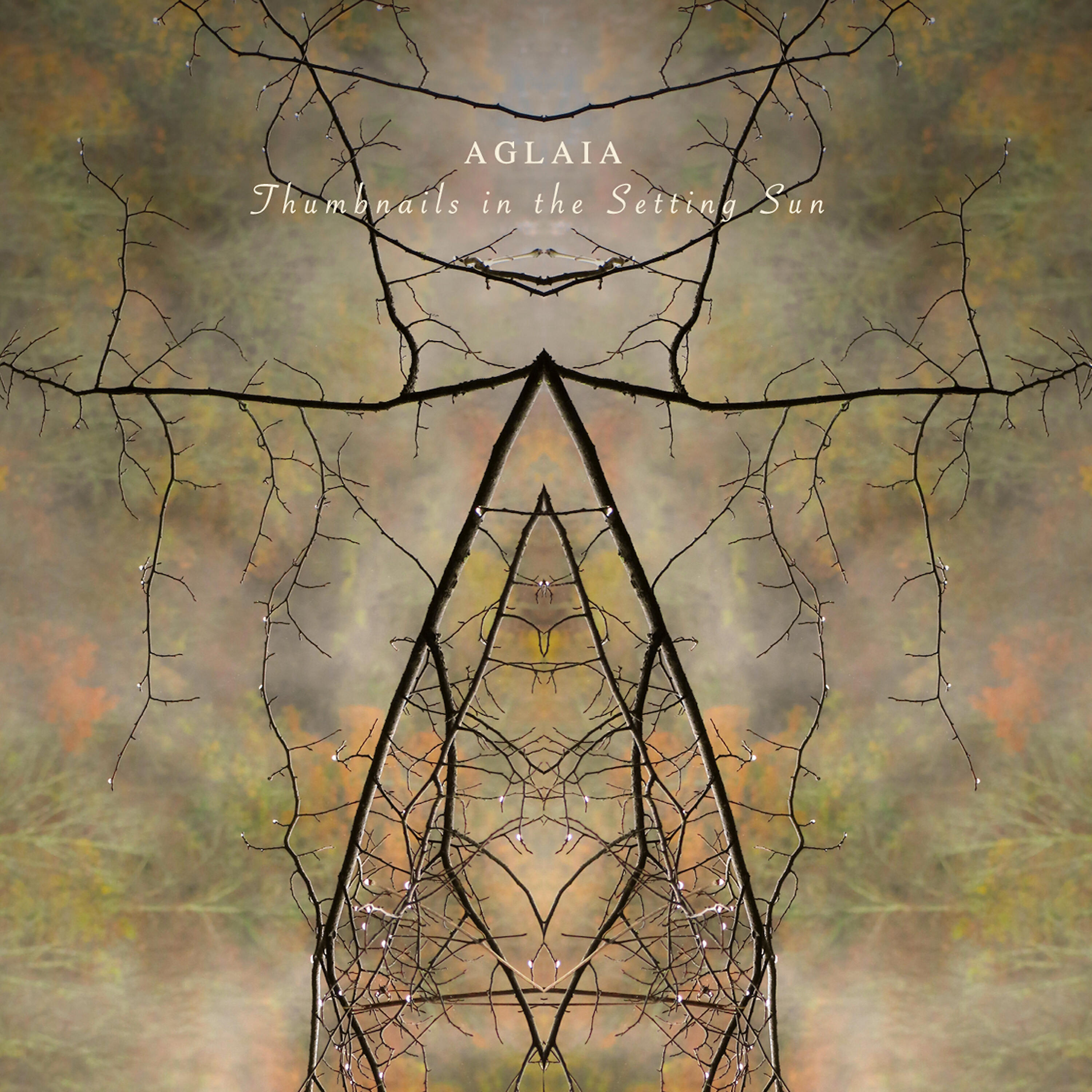 Aglaia - Flakes of Branches Swaying
