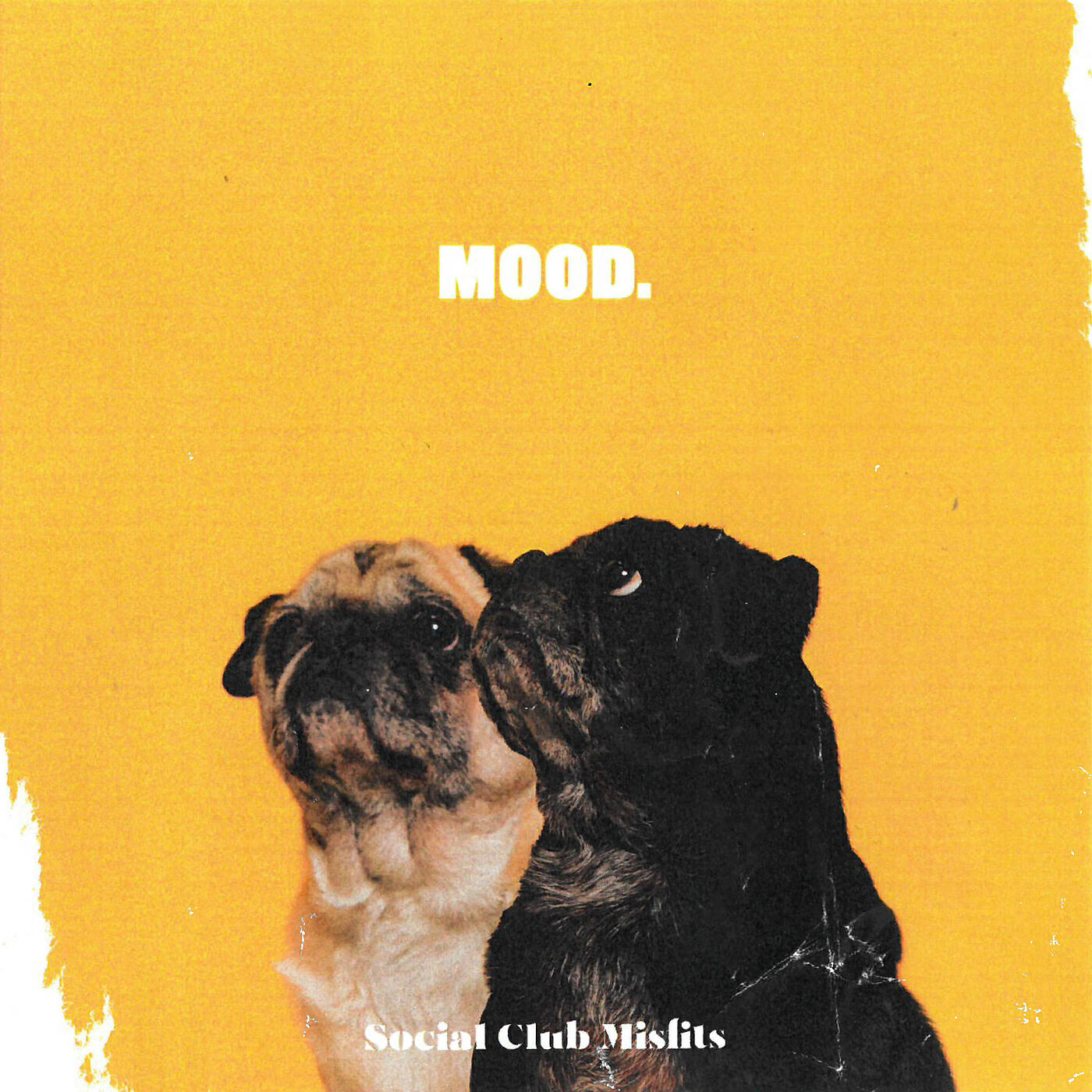 Social Club Misfits - Que lo Que