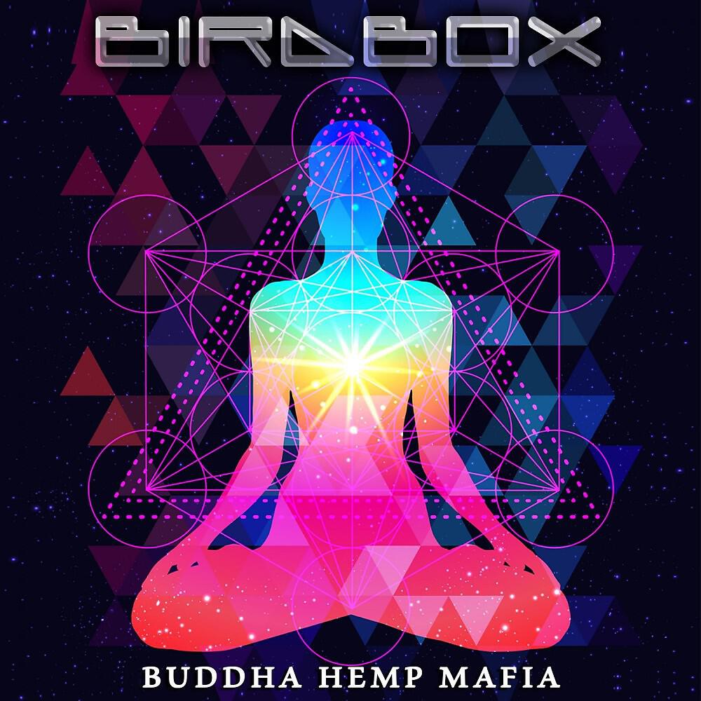 Bird Box - Trafik (Original Mix)
