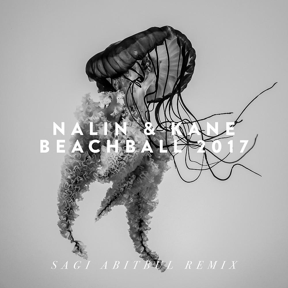 Постер альбома Beachball 2017 (Sagi Abitbul Remix)