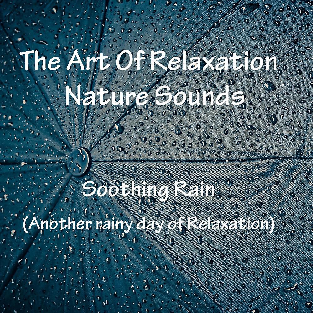 Постер альбома Soothing Rain (Another Rainy Day of Relaxation)