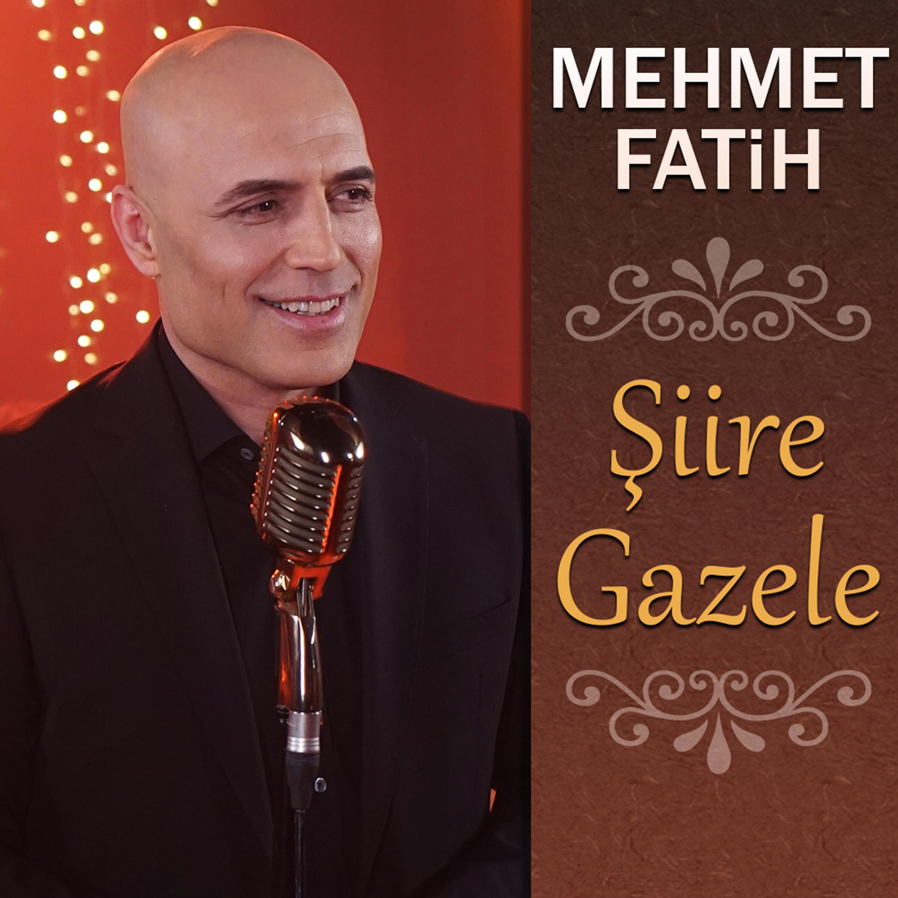 Постер альбома Şiire Gazele