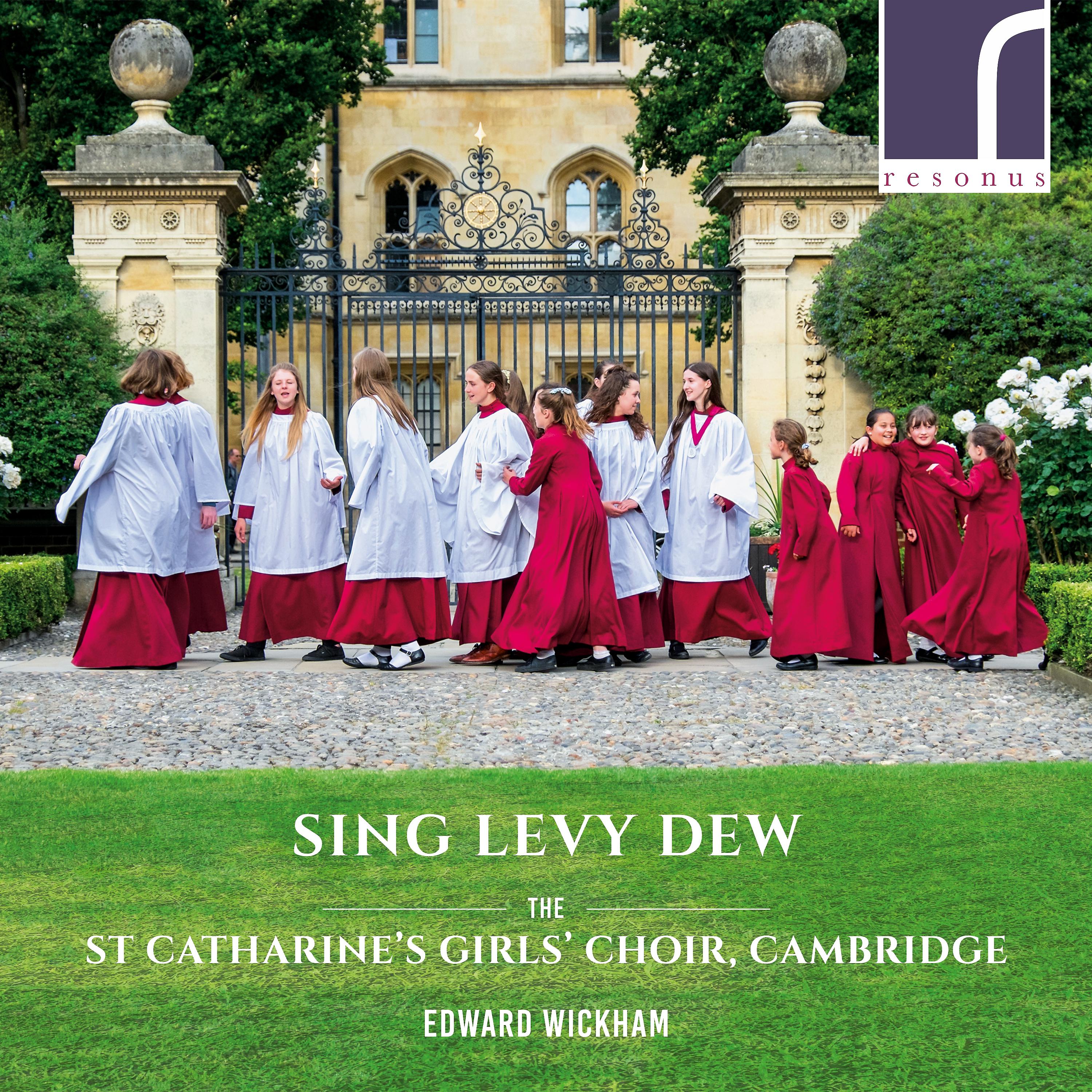 Постер альбома Sing Levy Dew