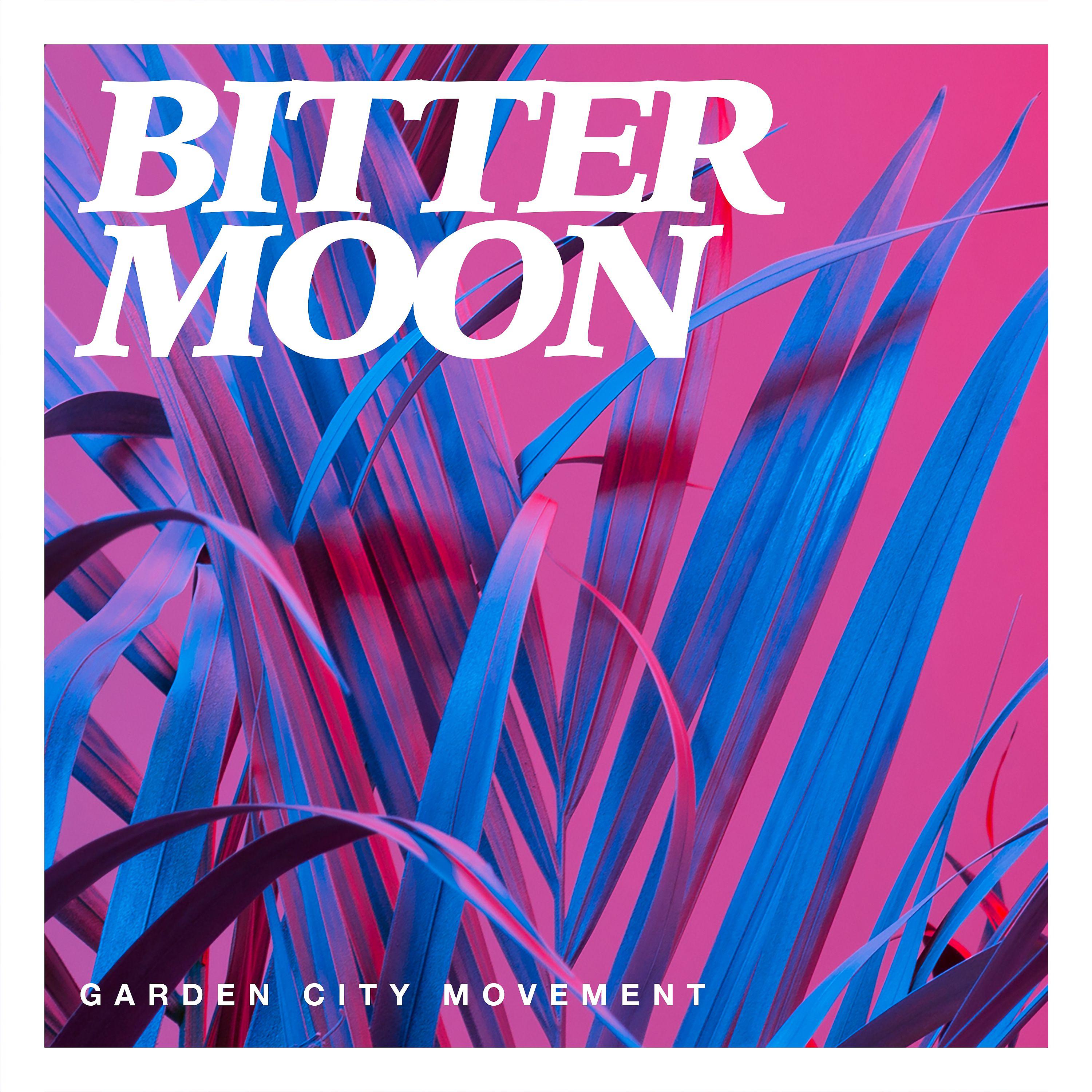 Постер альбома Bitter Moon
