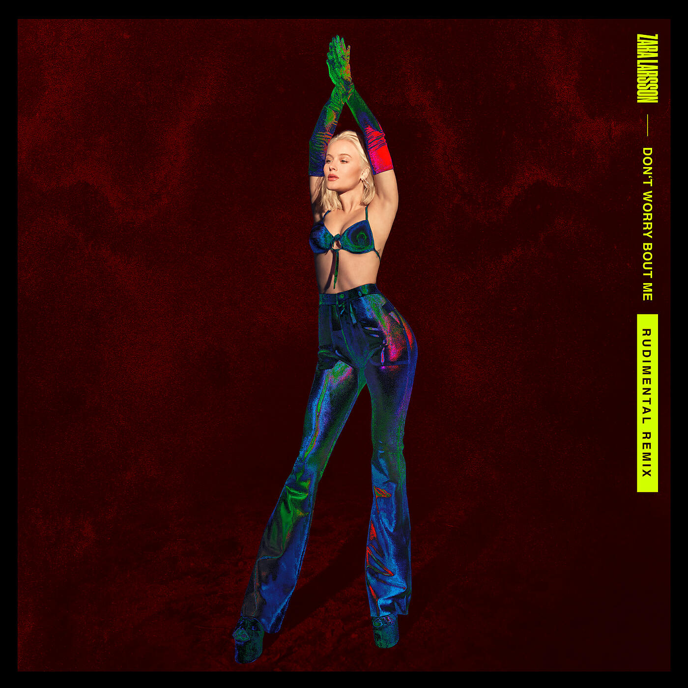 Zara Larsson - Don't Worry Bout Me (Rudimental Remix)