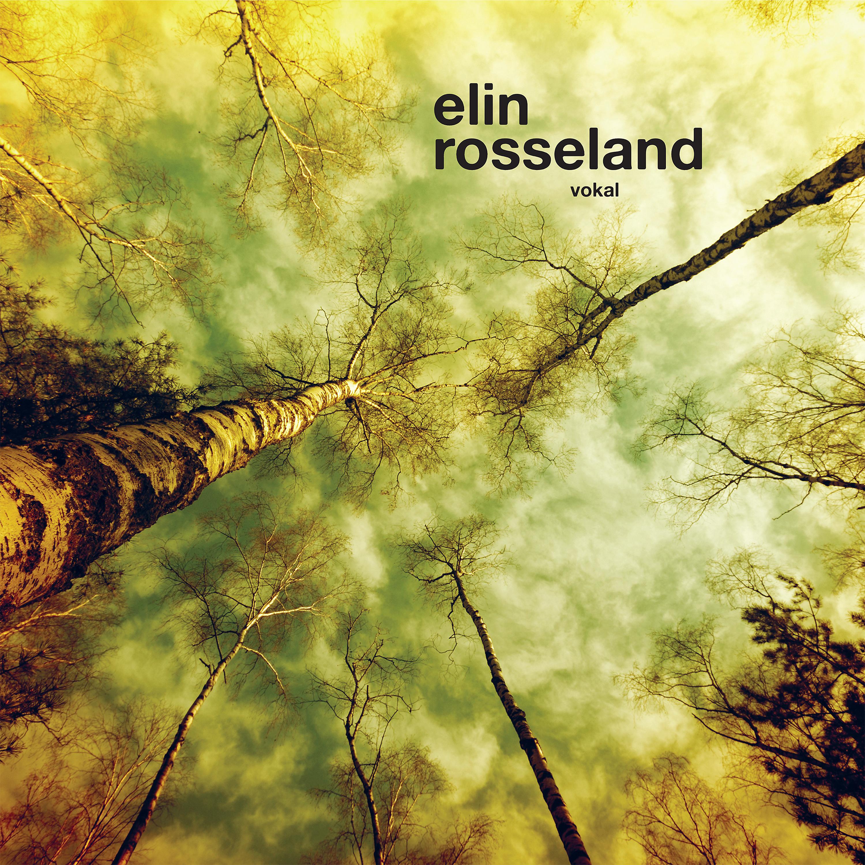 Elin Rosseland - ingen vinner frem til den evige ro