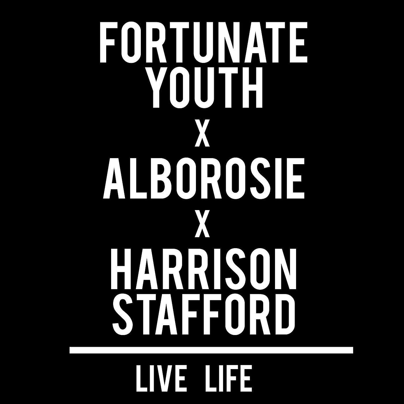 Fortunate Youth - Live Life