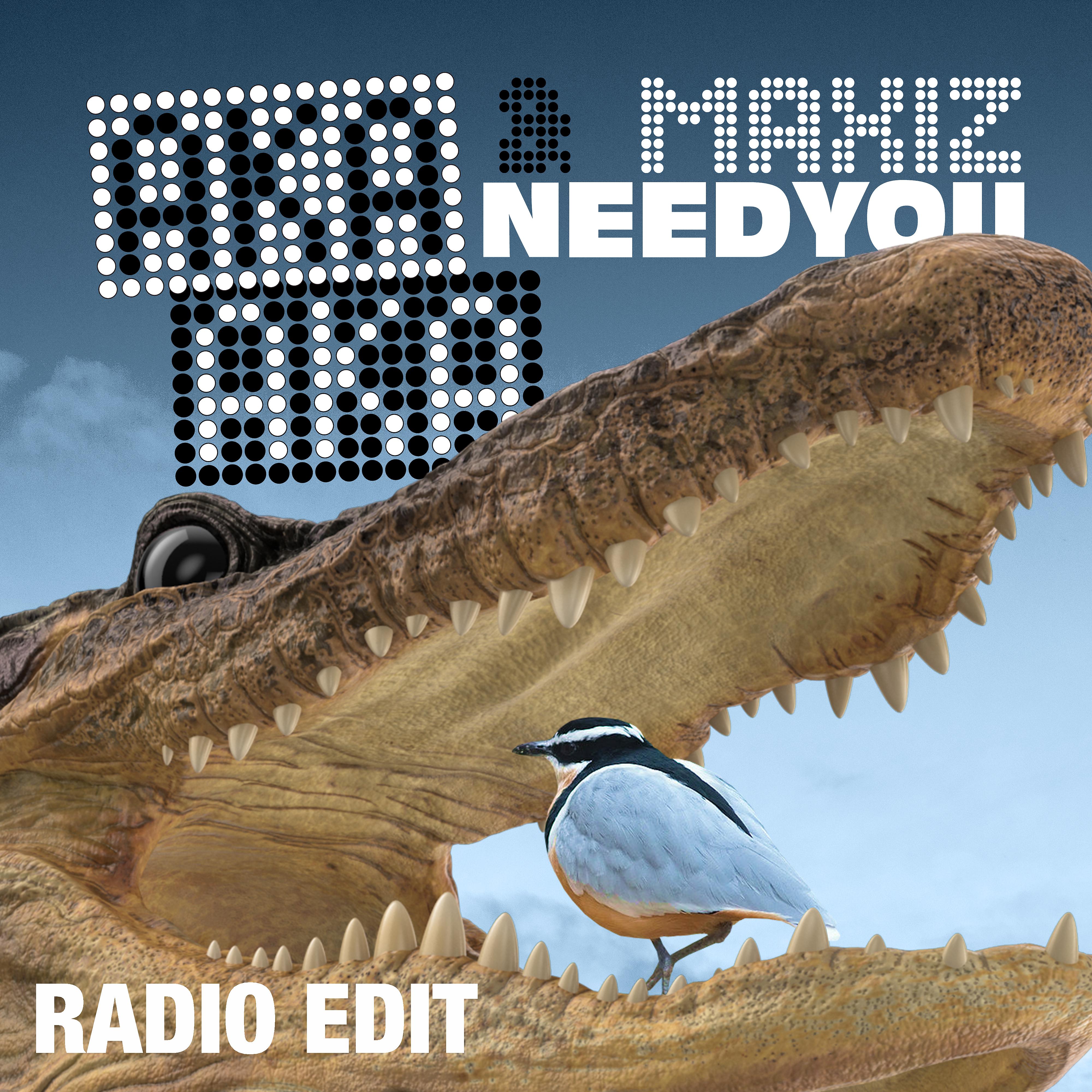 Постер альбома Need You (Radio Edit)