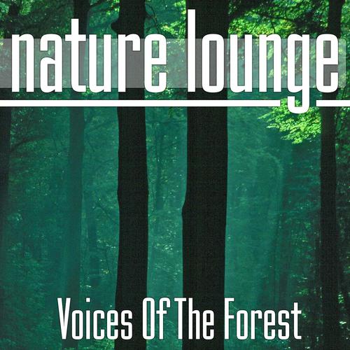Постер альбома Voices of the Forest