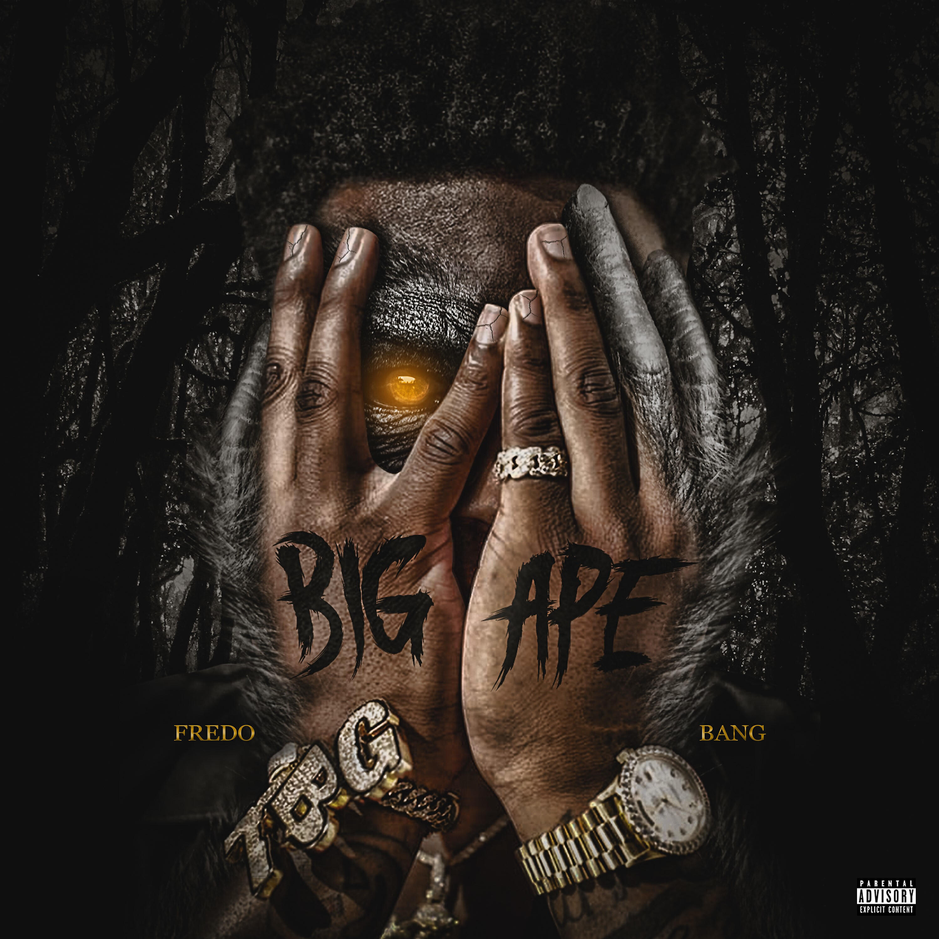 Fredo Bang - Big Sticks