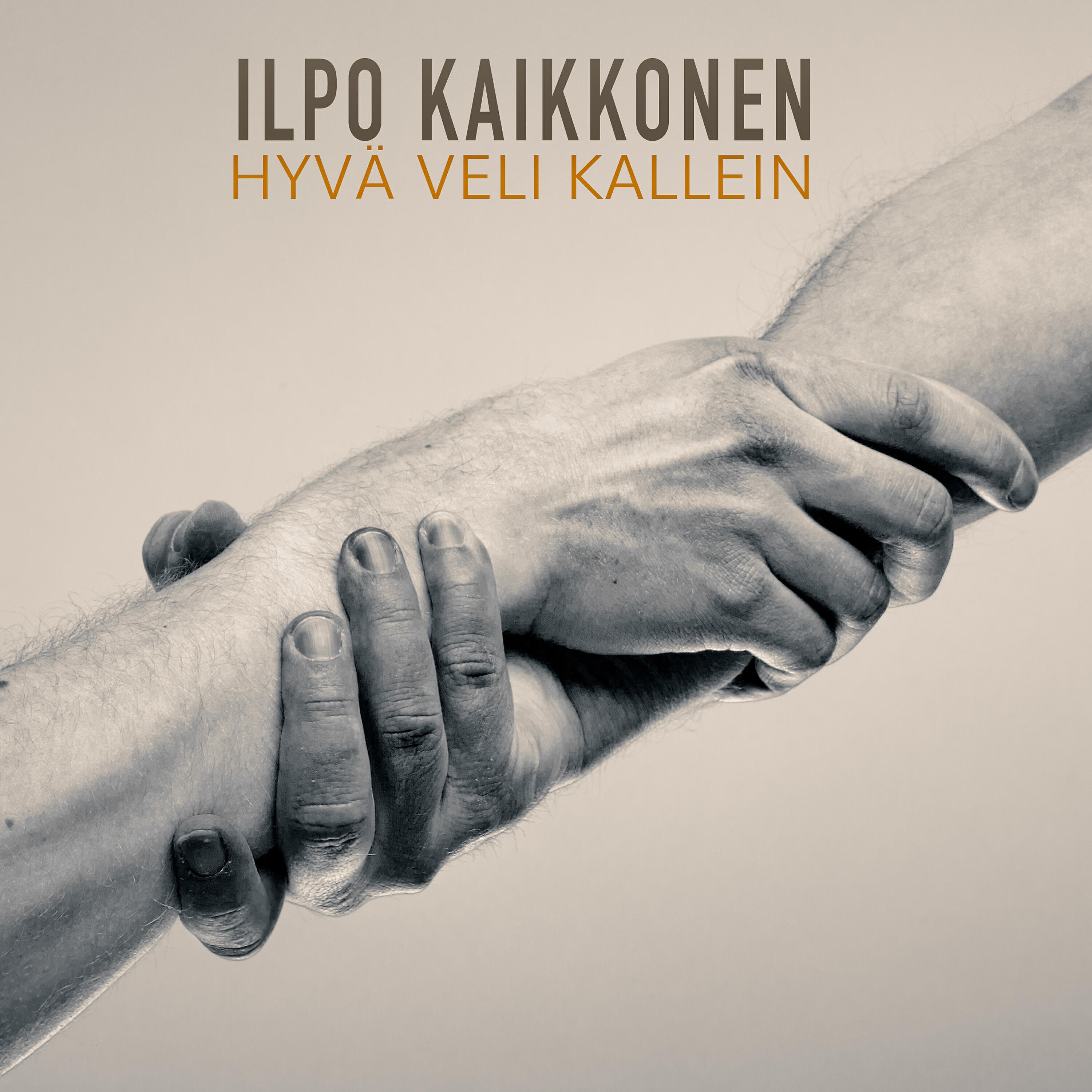 Ilpo Kaikkonen - Hyvä veli kallein
