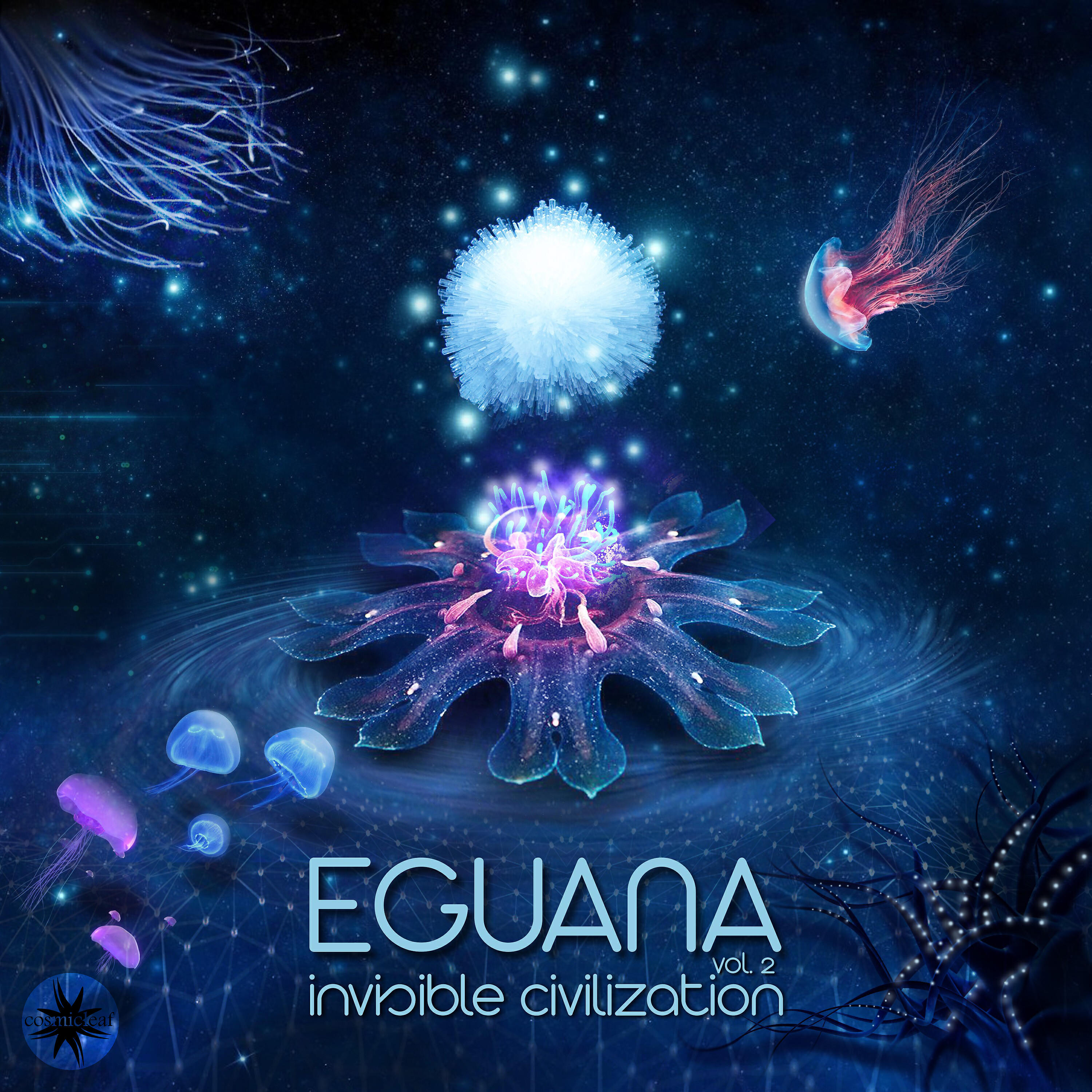Eguana - Internal Processes