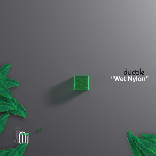 Постер альбома Wet Nylon
