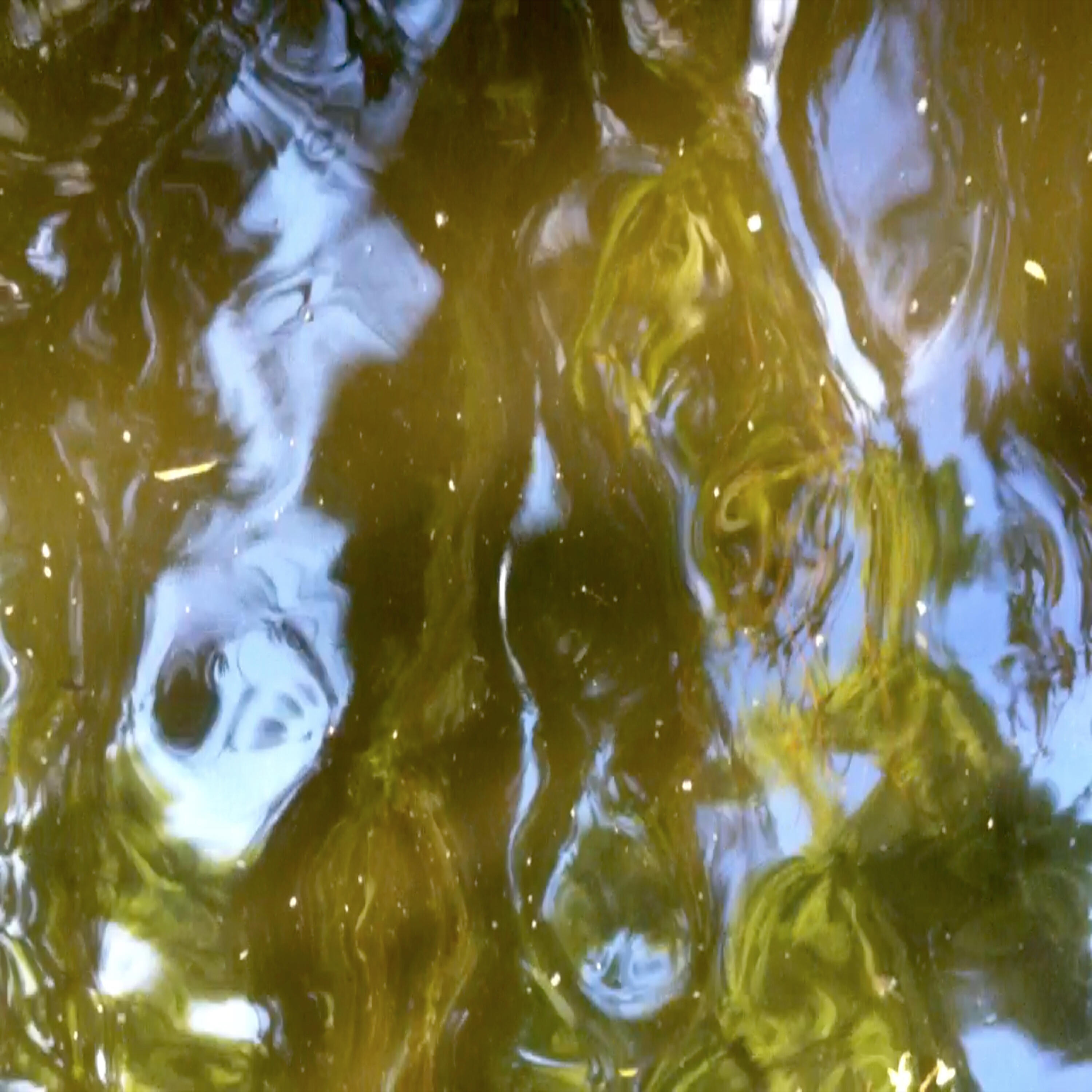 Auden Prey - Process and Reality