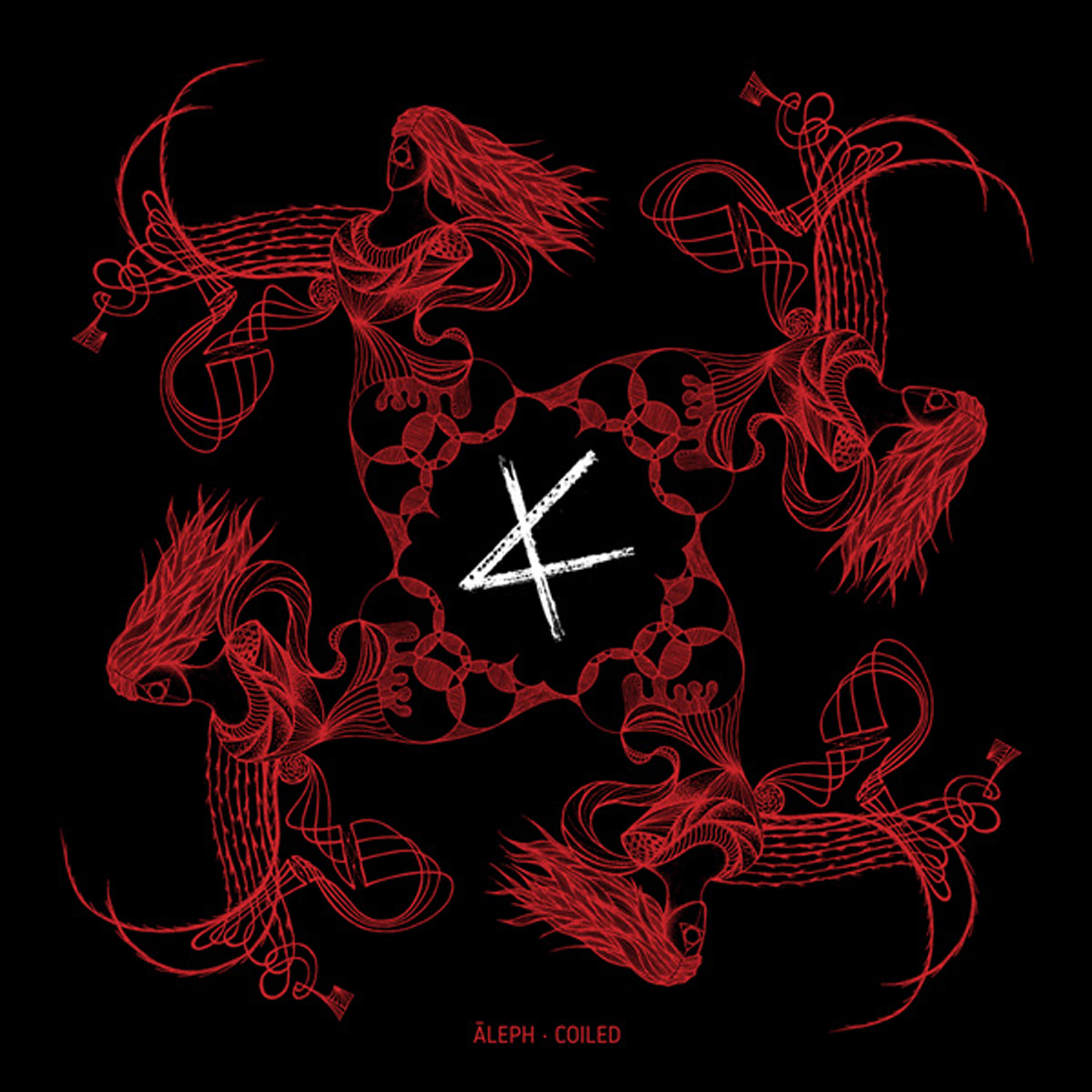 Aleph - A Snow Flake Falling into Nowhere
