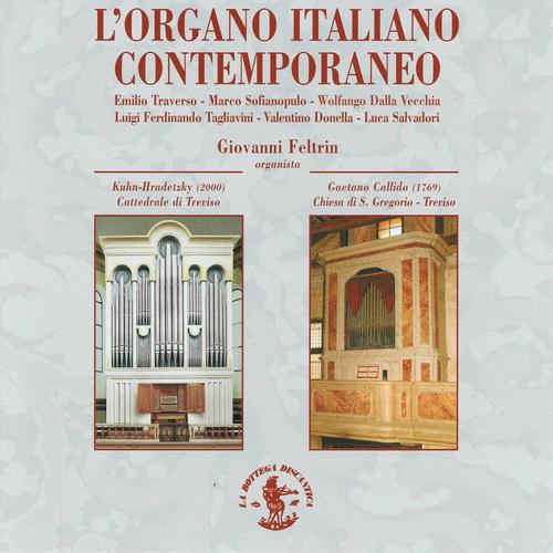 Постер альбома Traverso, Sofianopulo, Dalla Vecchia, Tagliavini, Donella, Salvadori : L'organo italiano contemporaneo