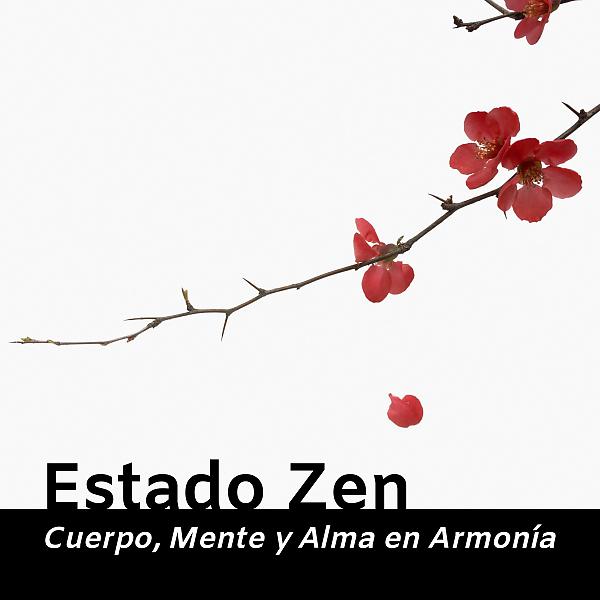 Постер альбома Estado Zen - Cuerpo, Mente y Alma en Armonía