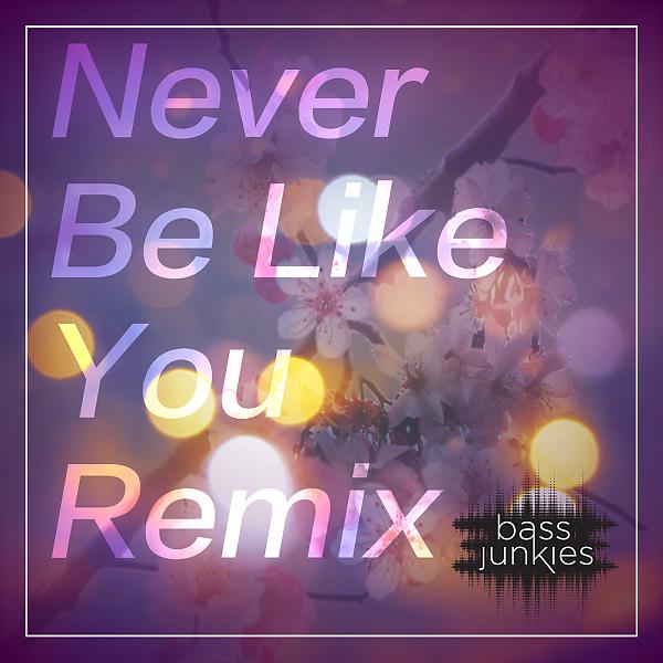 Постер альбома Never Be Like You (Remix)