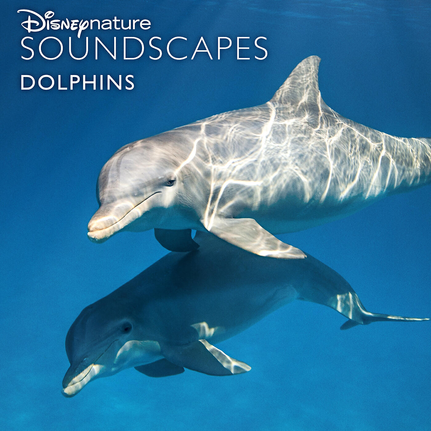 Disneynature Soundscapes - Going Underwater, Orca Calls and Clicks