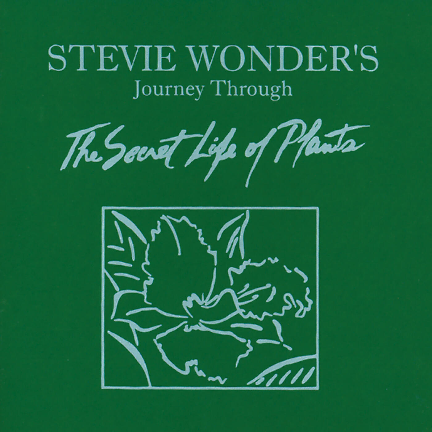 Stevie Wonder - Kesse Ye Lolo De Ye