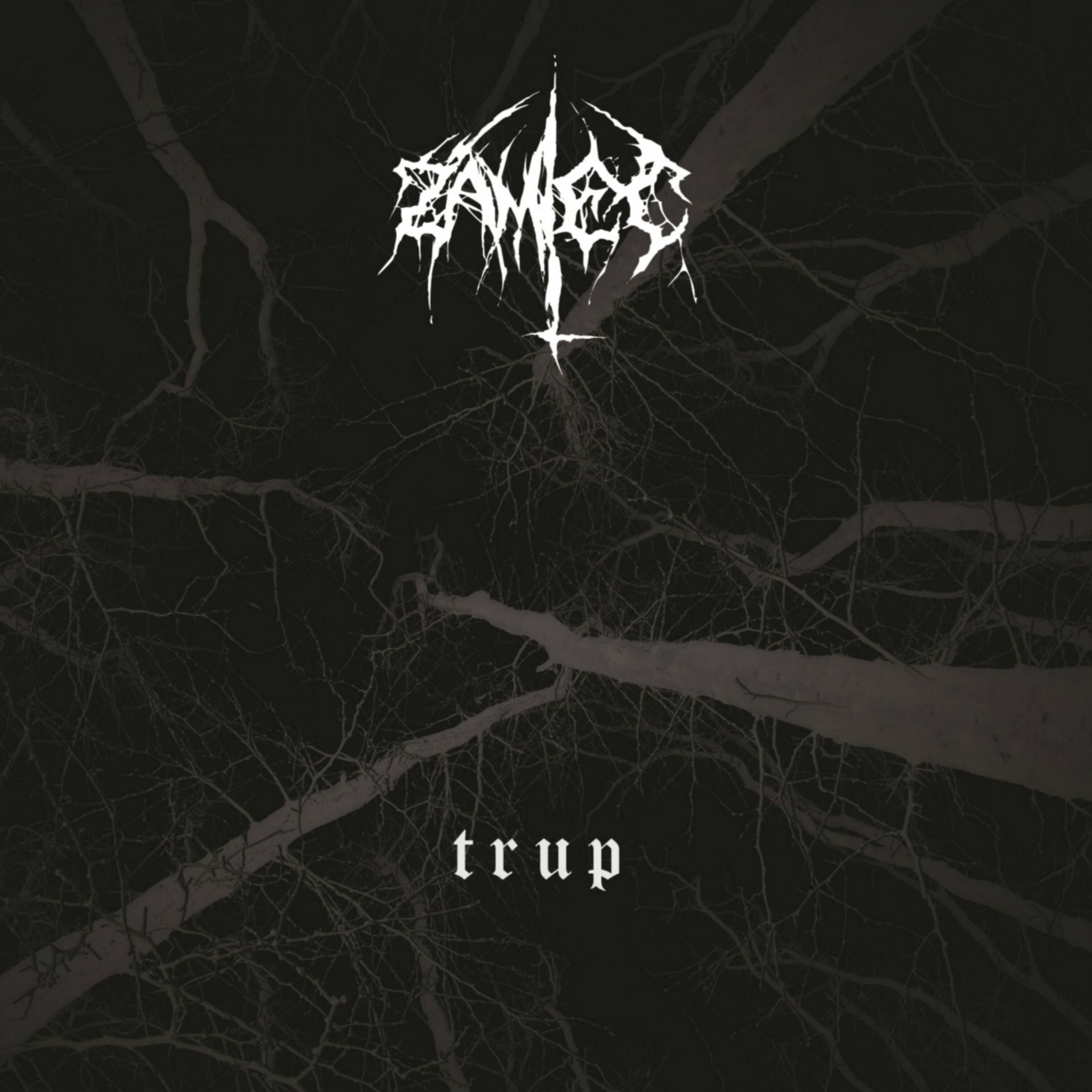 Zamieć - Trup