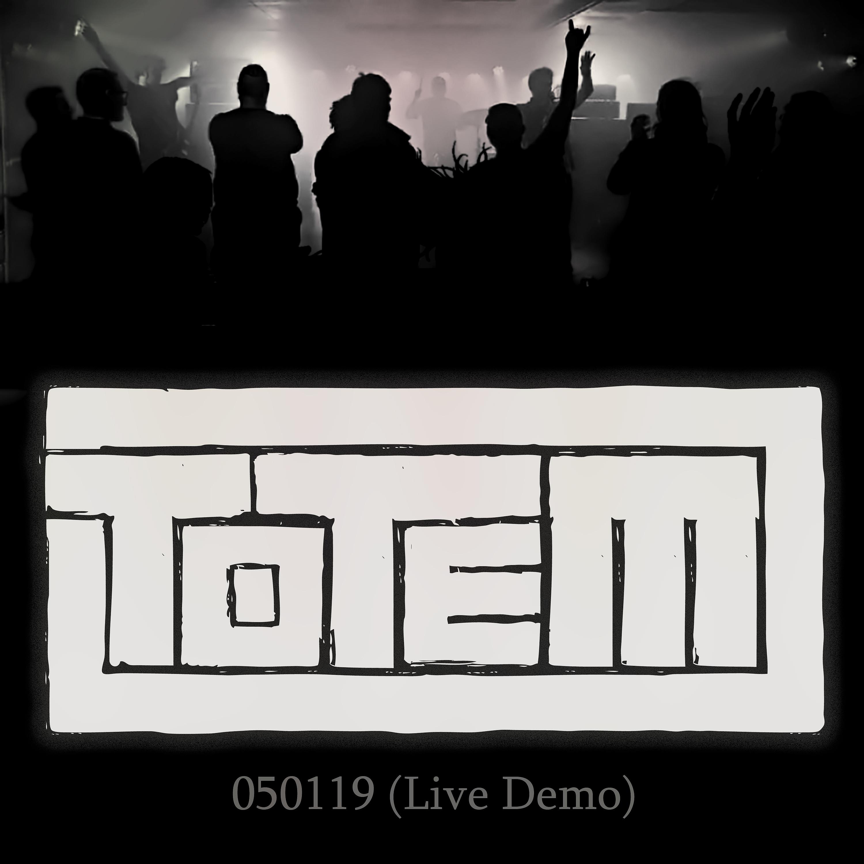 Постер альбома 050119 (Live Demo)