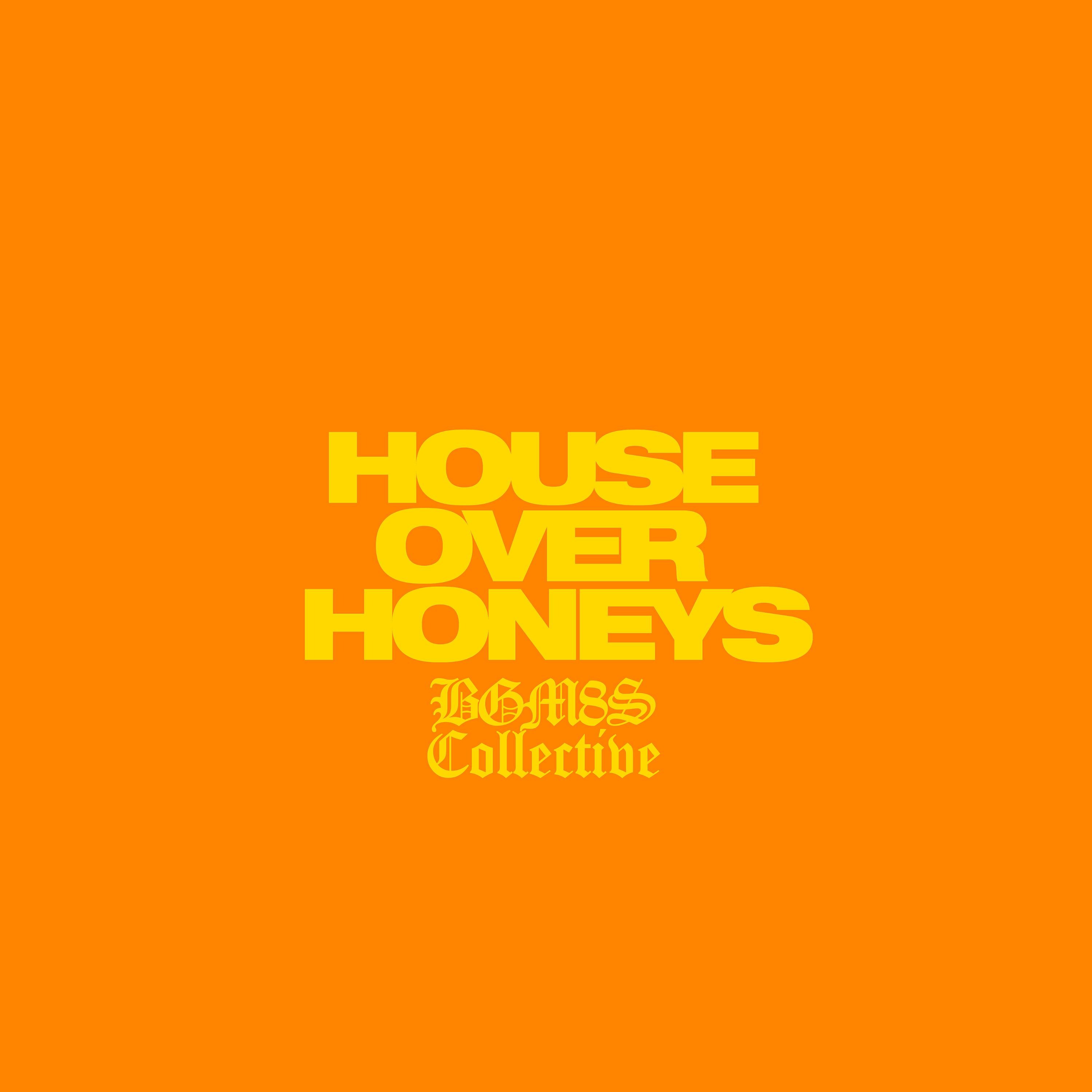 Постер альбома House over Honeys