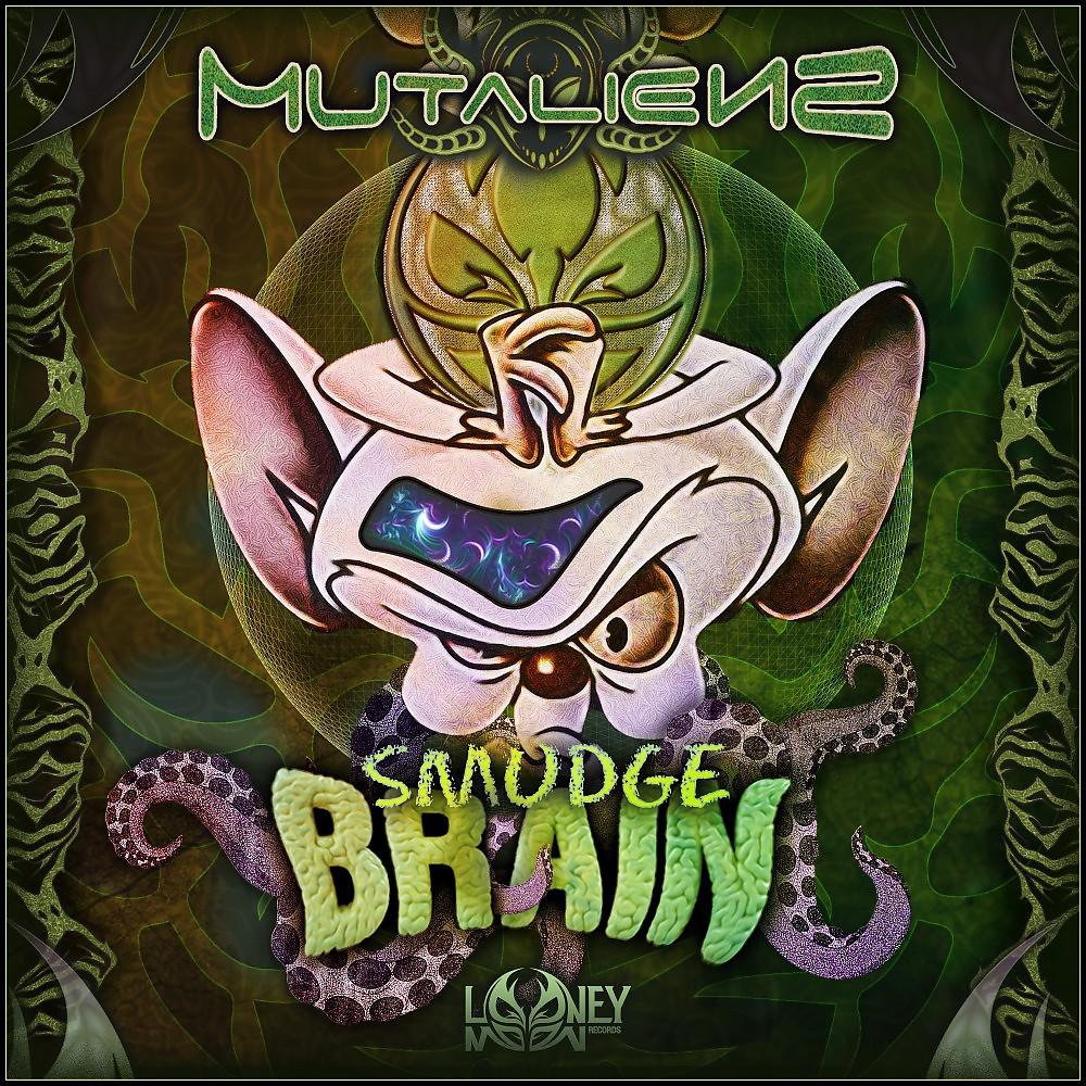 Постер альбома Smudge Brain
