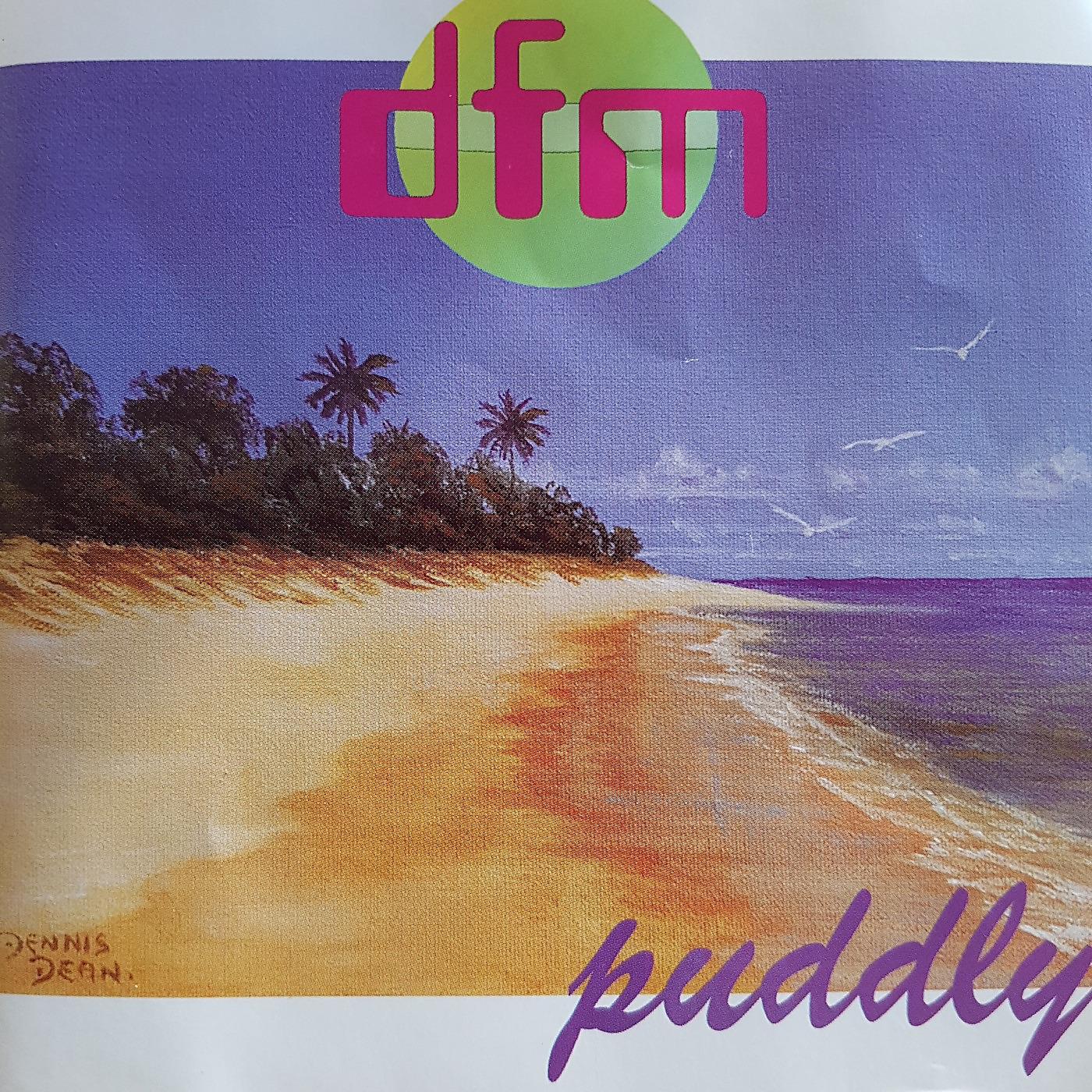 Постер альбома Puddly