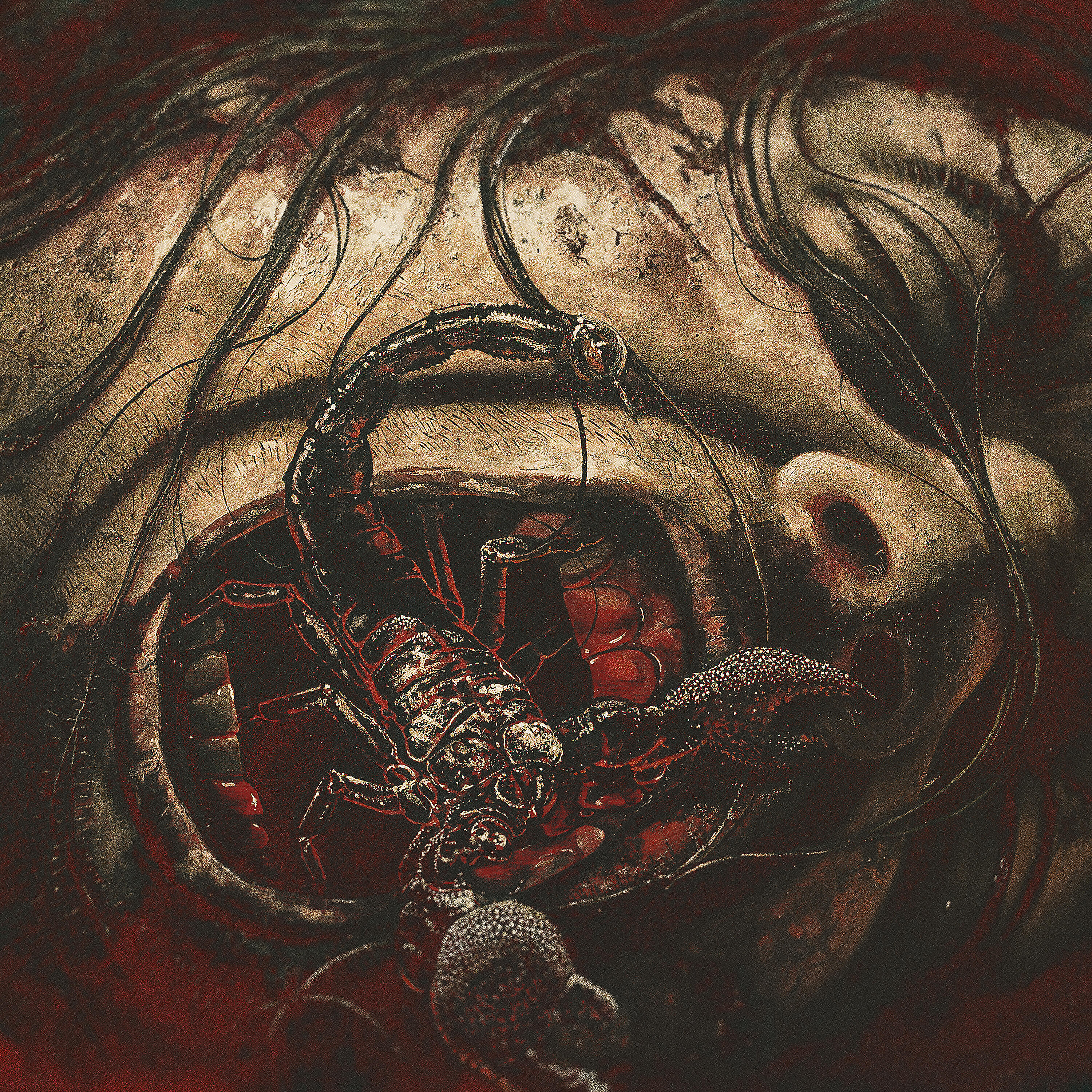 Oh - Decimation & Burial