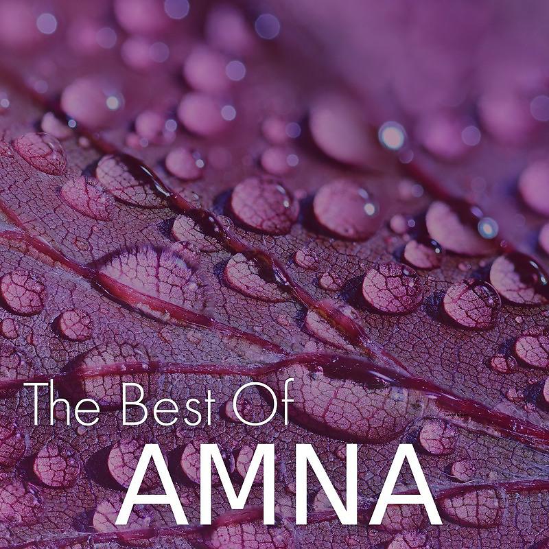 Постер альбома The Best of AMNA