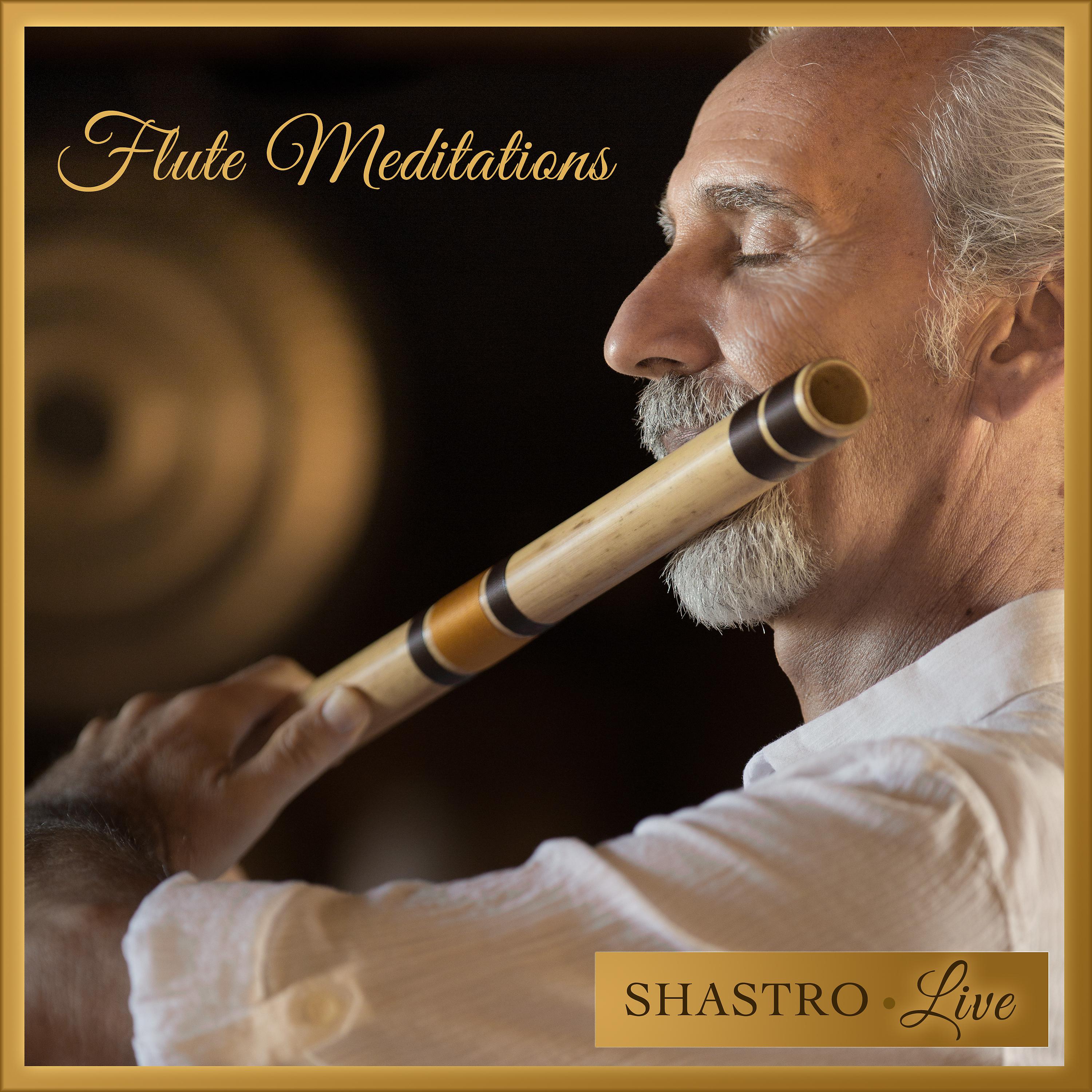 Постер альбома Flute Meditations (Live)