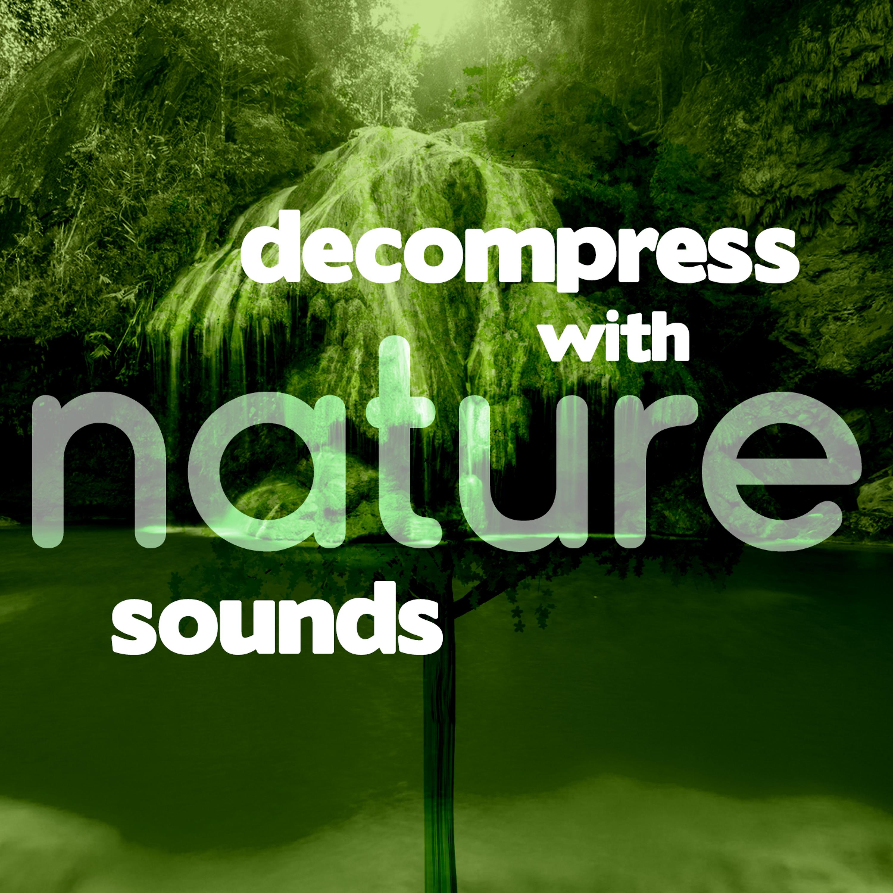 Постер альбома Decompress with Nature Sounds