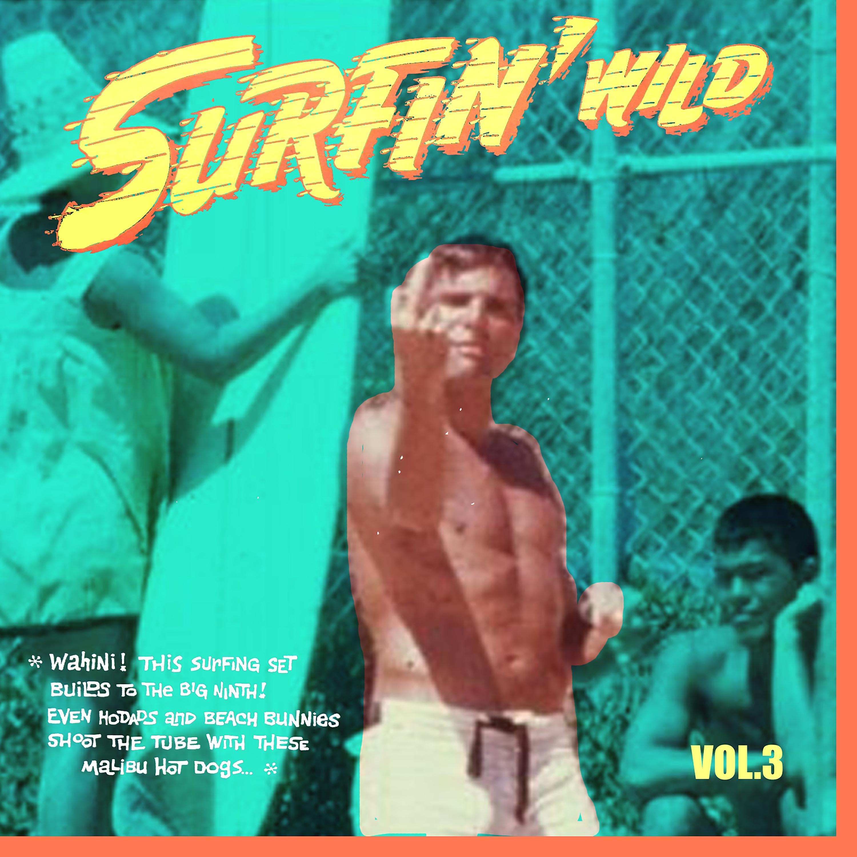 Постер альбома Surfin' Wild Vol.3, 16 Wild Instrumental Rockers