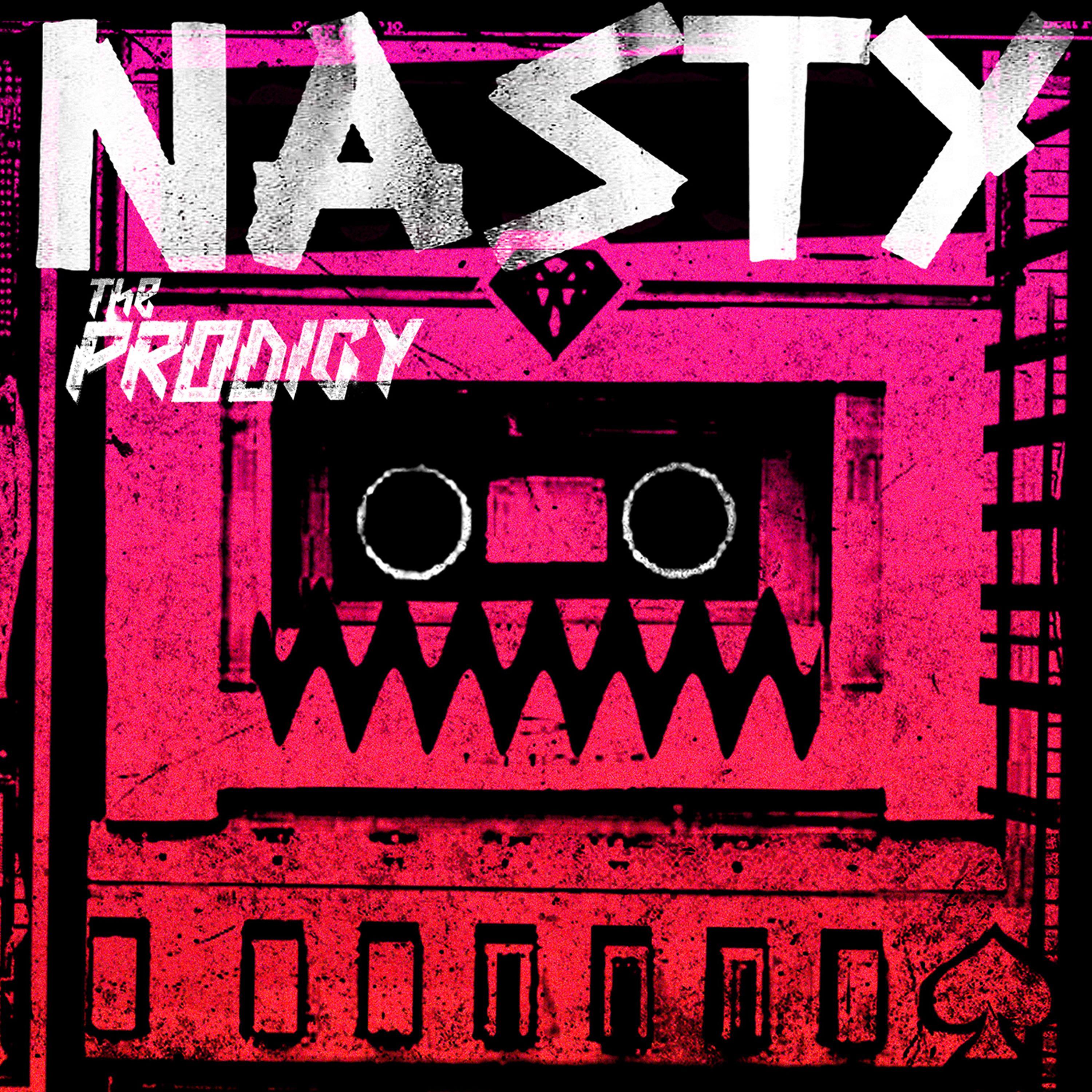 Постер альбома Nasty