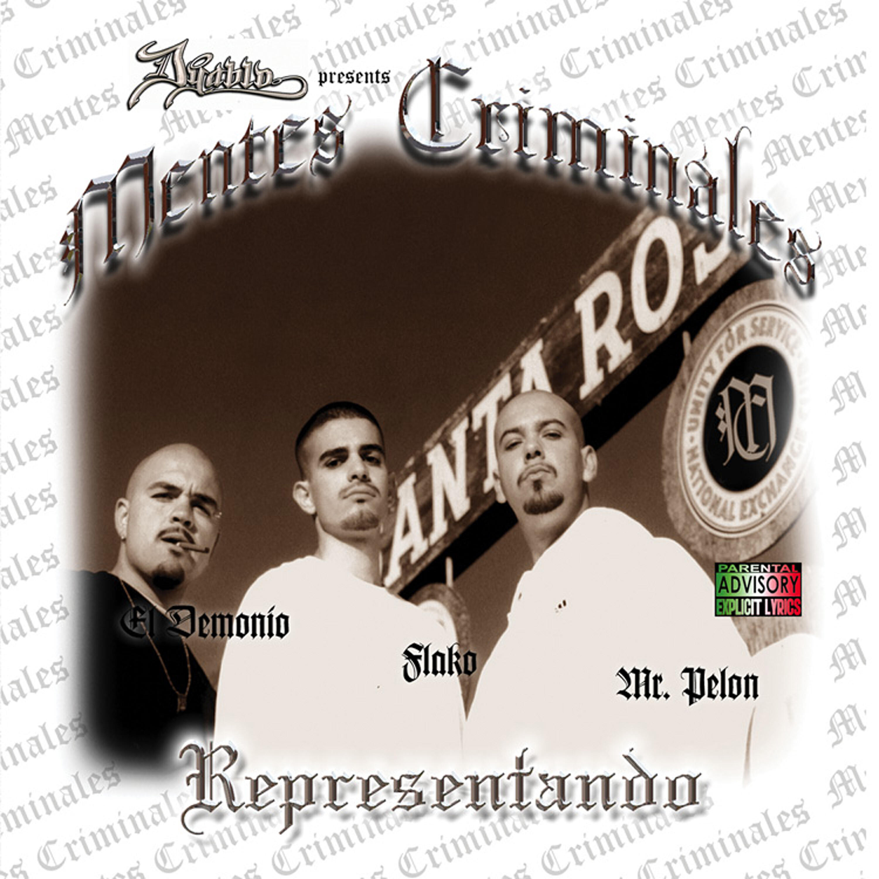 Mentes Criminales - Ilegales