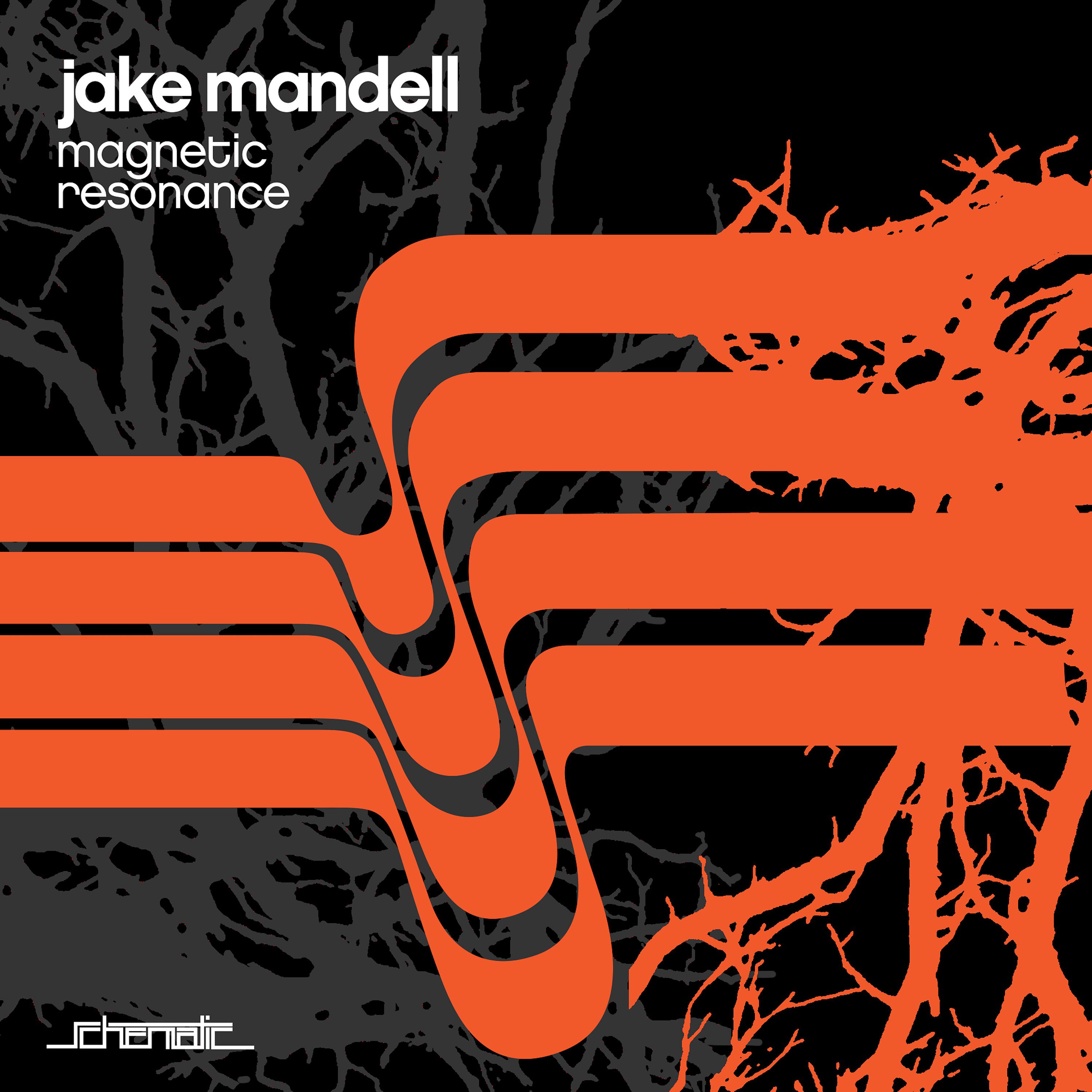 Постер альбома Jake Mandell - Magnetic Resonance