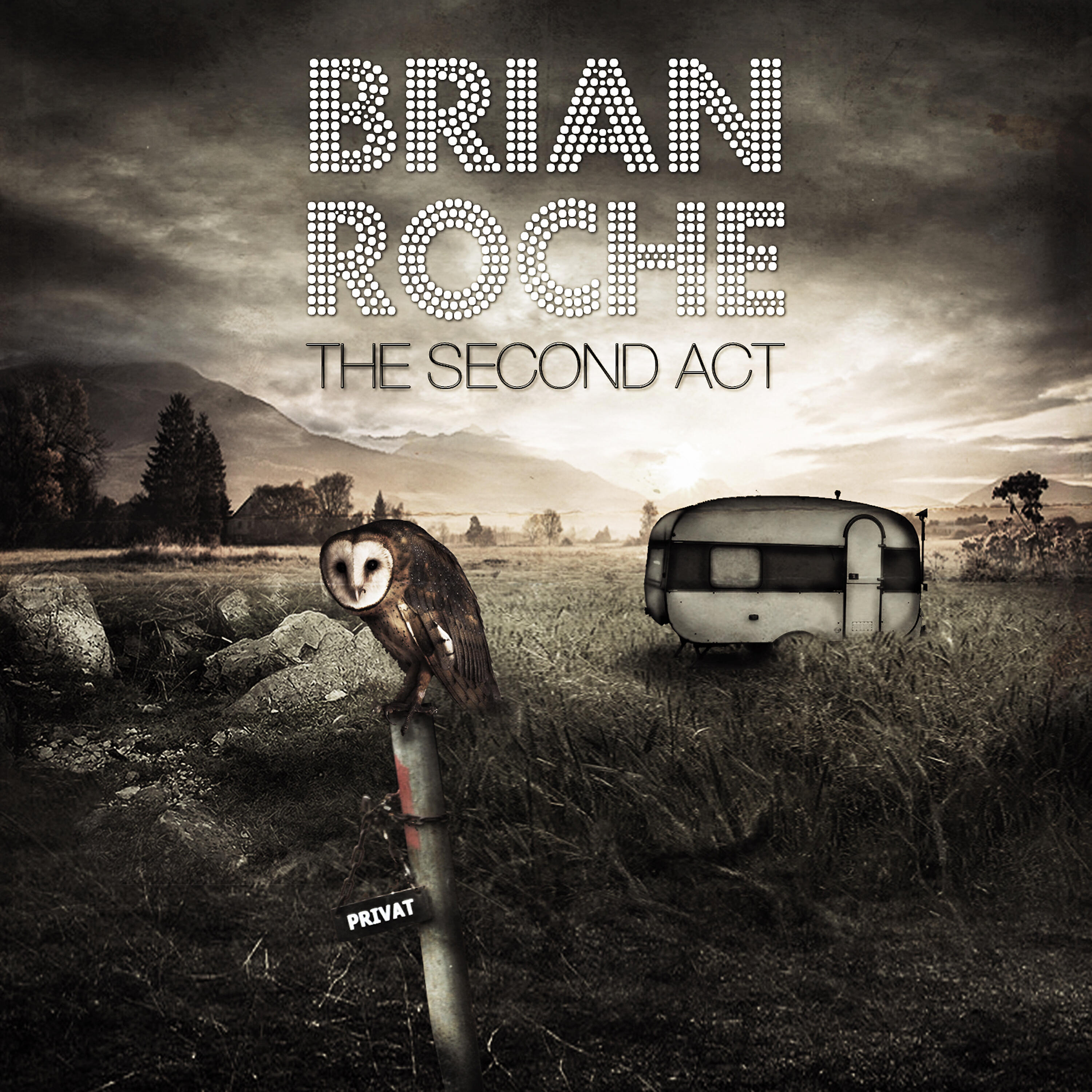 Brian Roche - Fire in the Sky