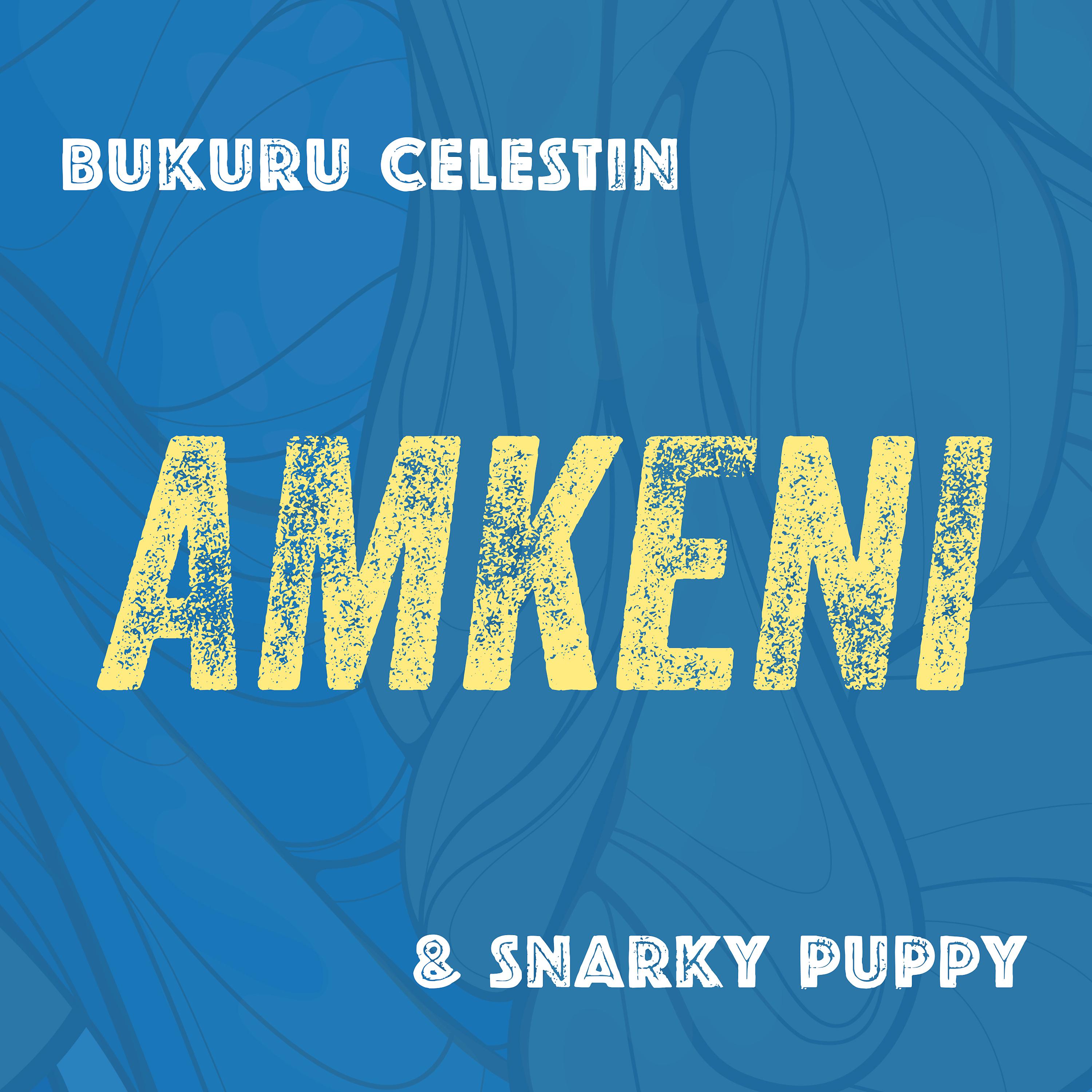 Постер альбома Amkeni