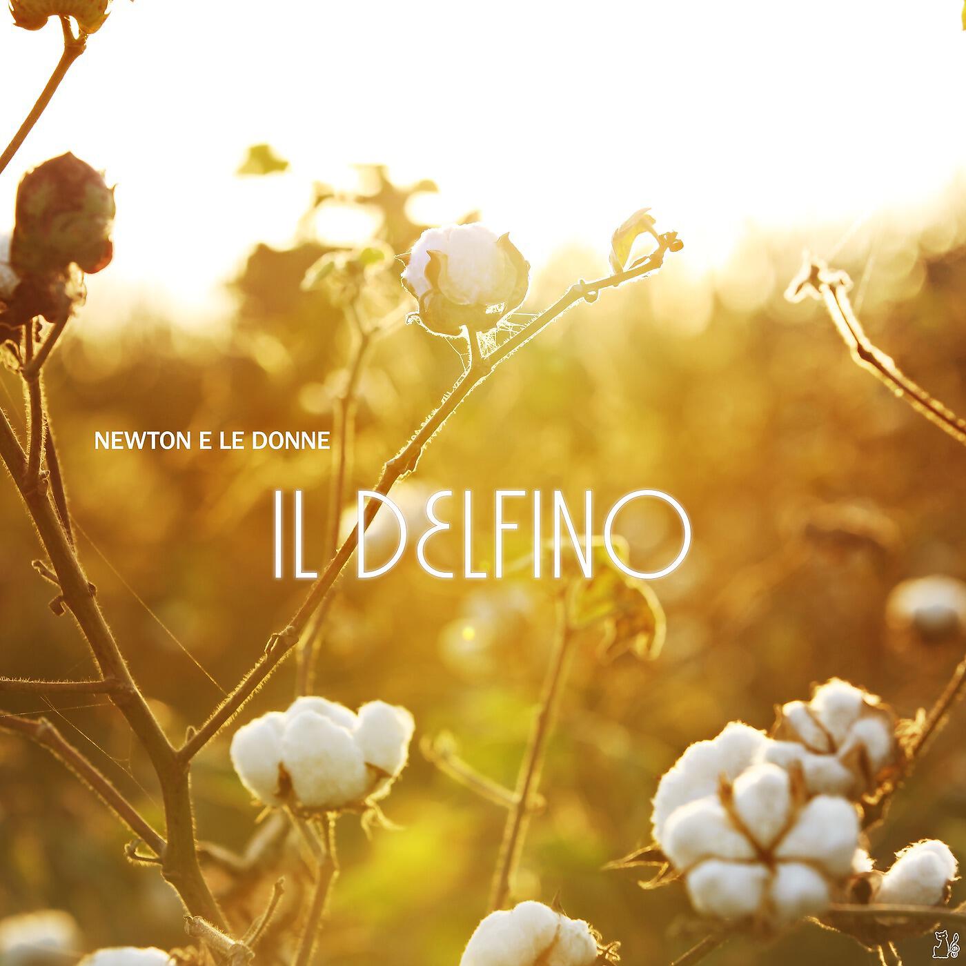 Newton e le Donne - Il delfino