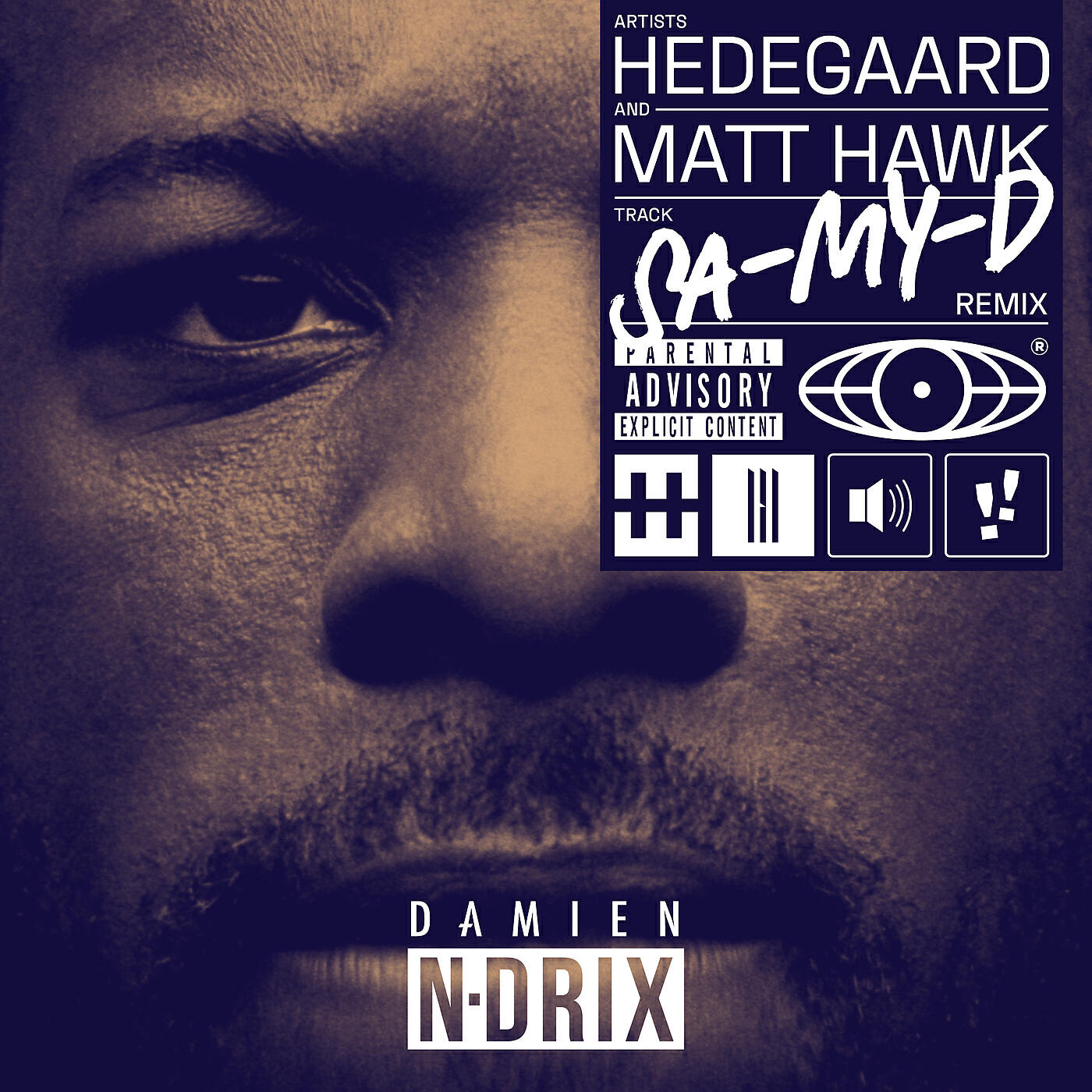 HEDEGAARD - SA-MY-D (Damien N-Drix Remix)